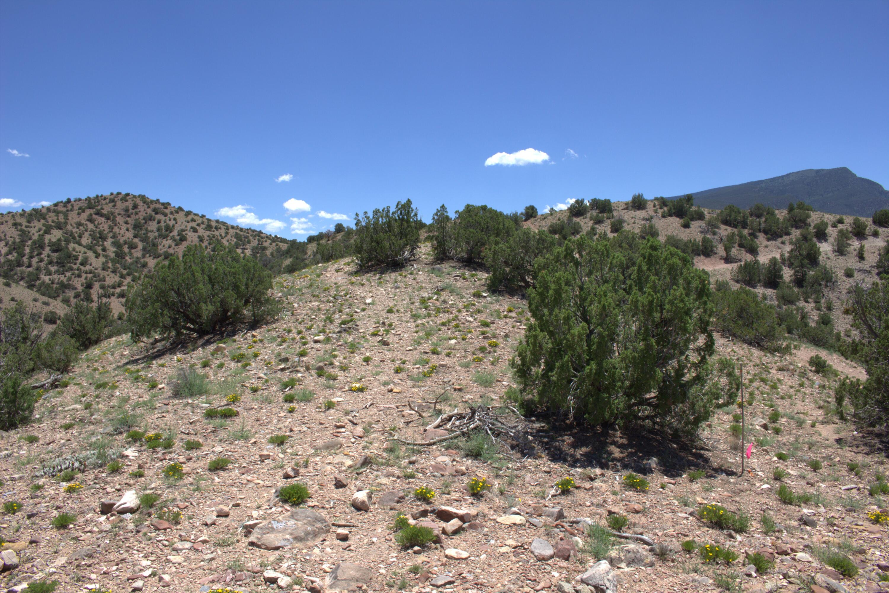 Photo 3 —  Tres Amigos