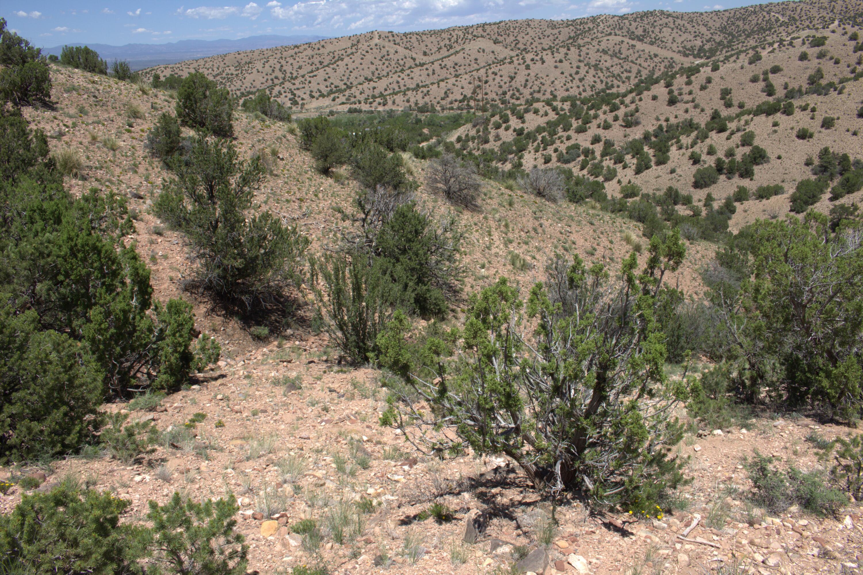 Photo 4 —  Tres Amigos