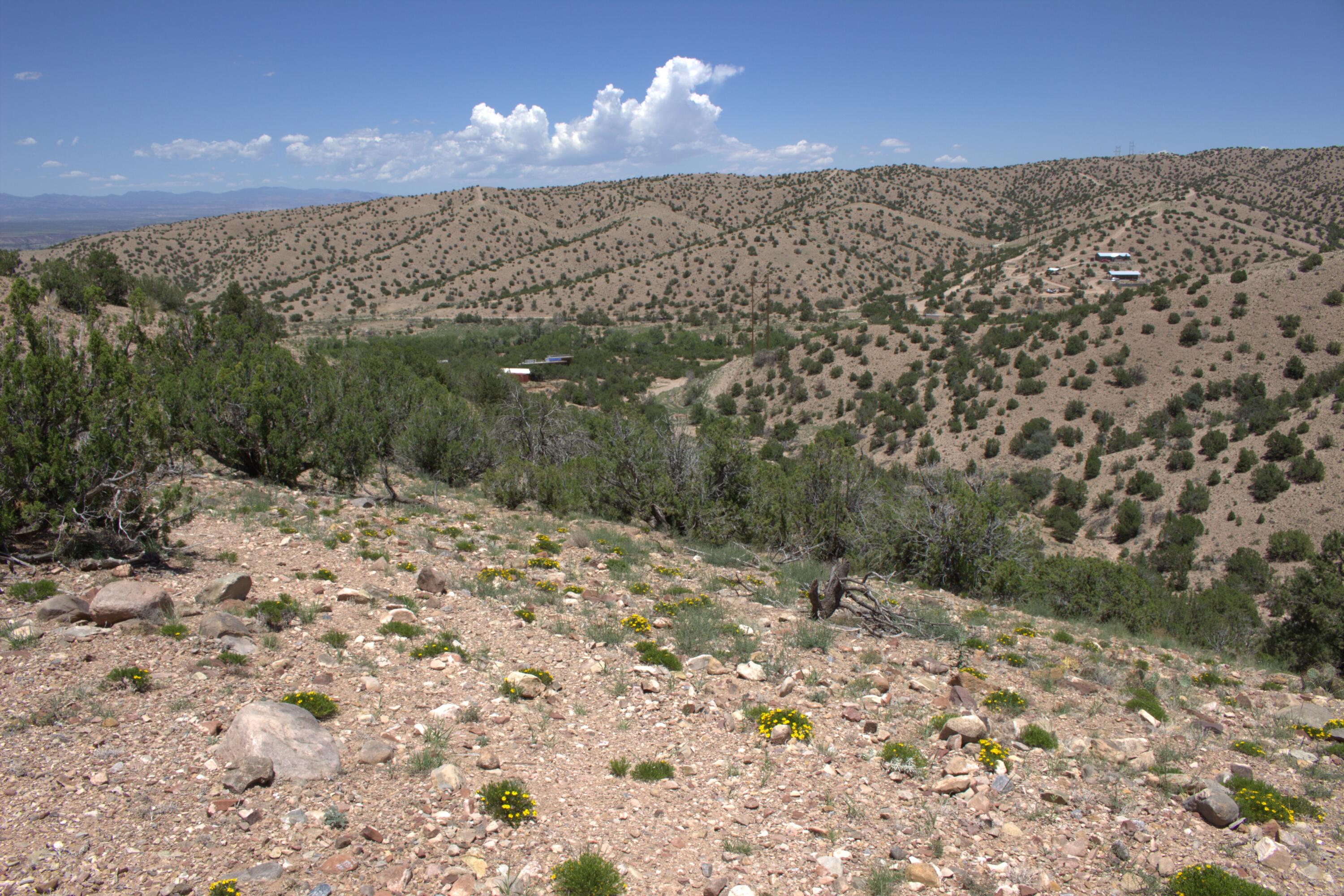 Photo 5 —  Tres Amigos