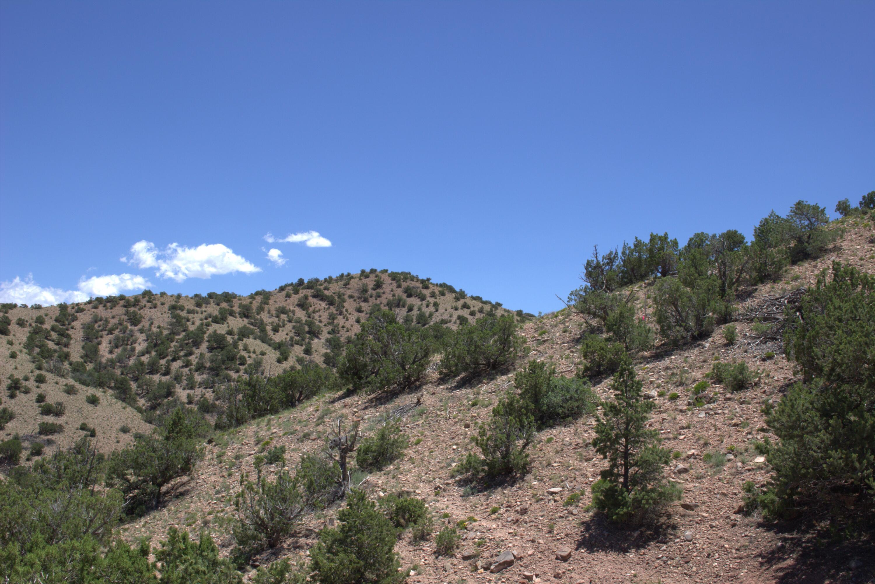  Tres Amigos, Placitas, NM 87043