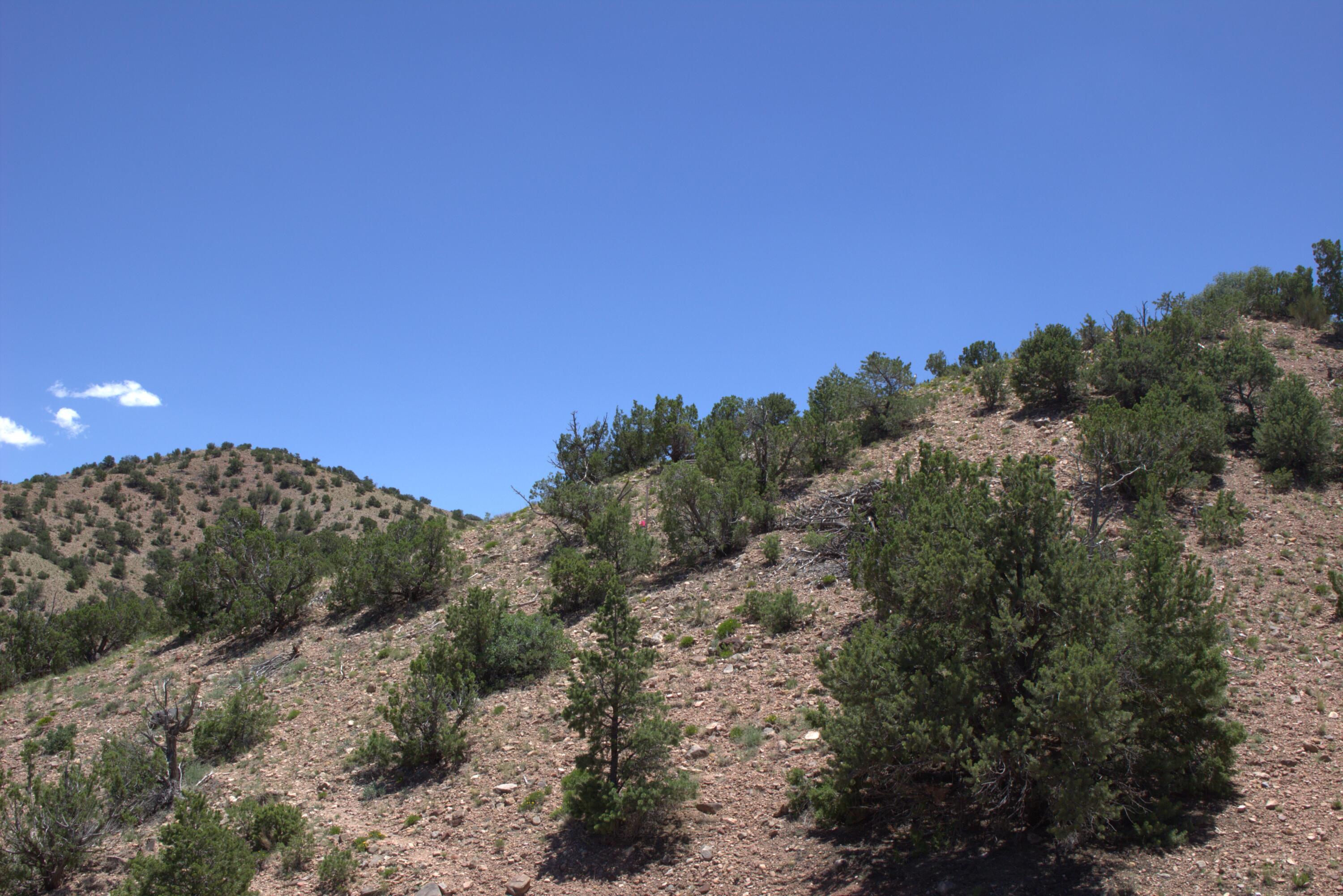 Photo 3 —  Tres Amigos
