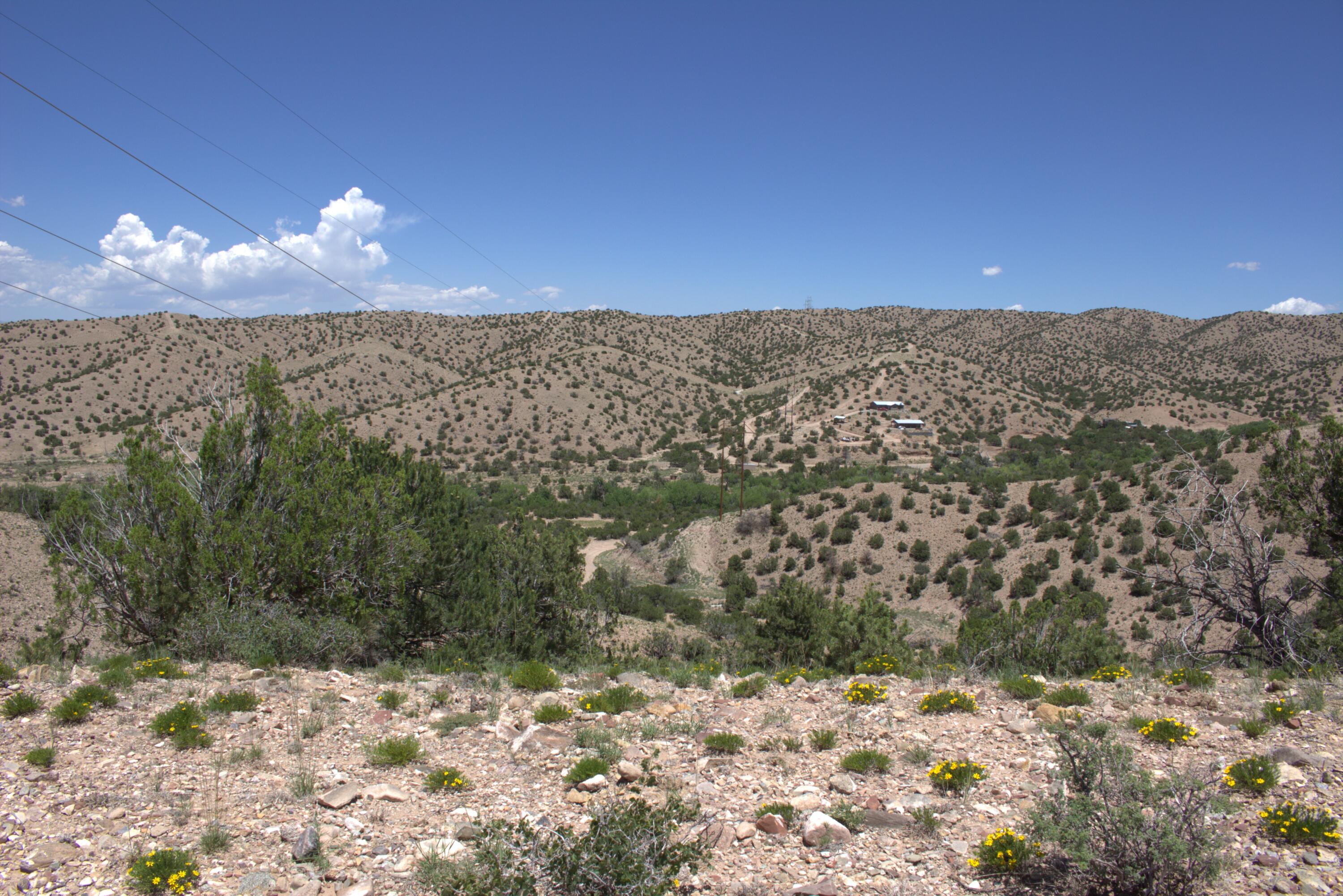 Photo 7 —  Tres Amigos