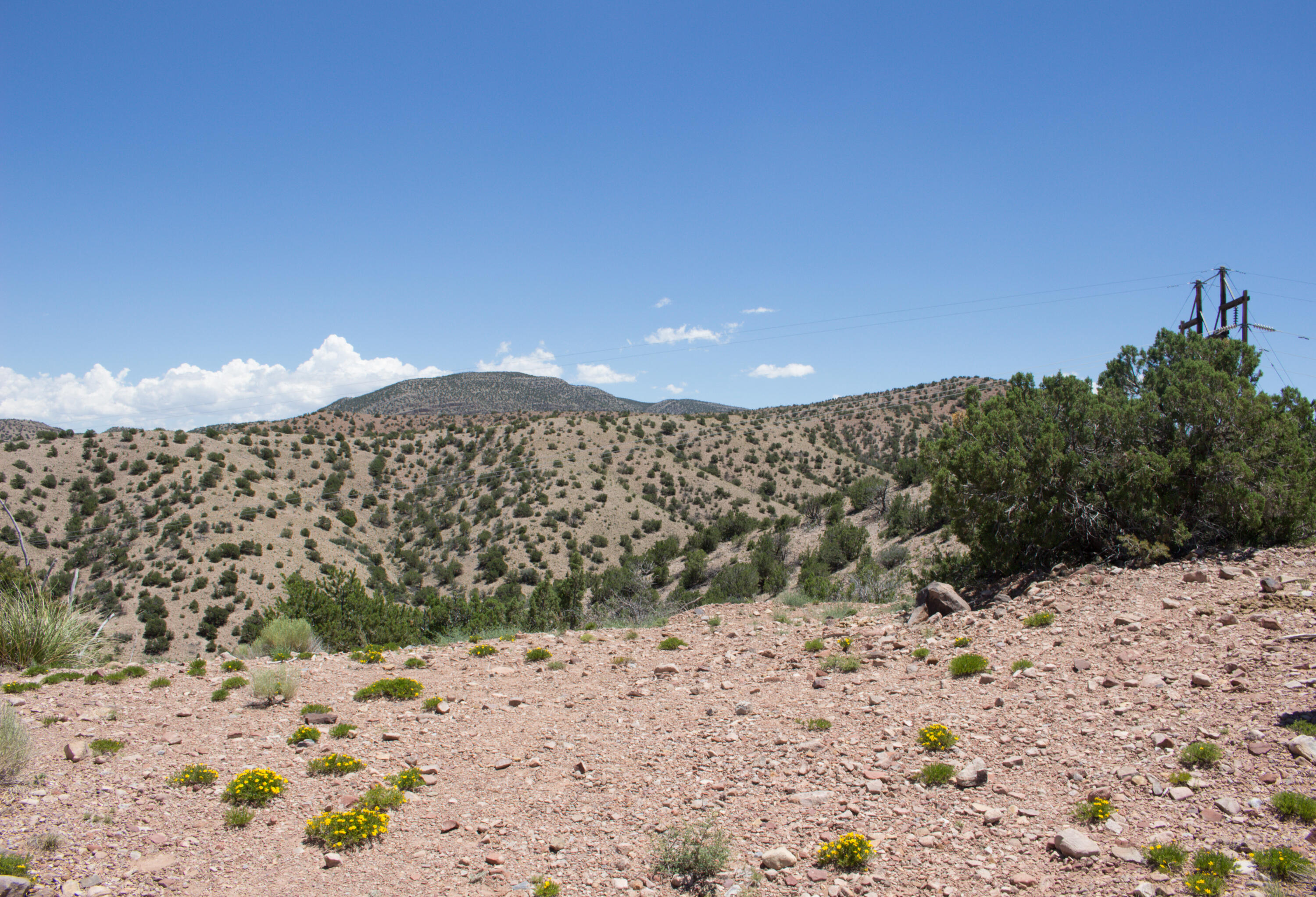 Photo 7 —  Tres Amigos