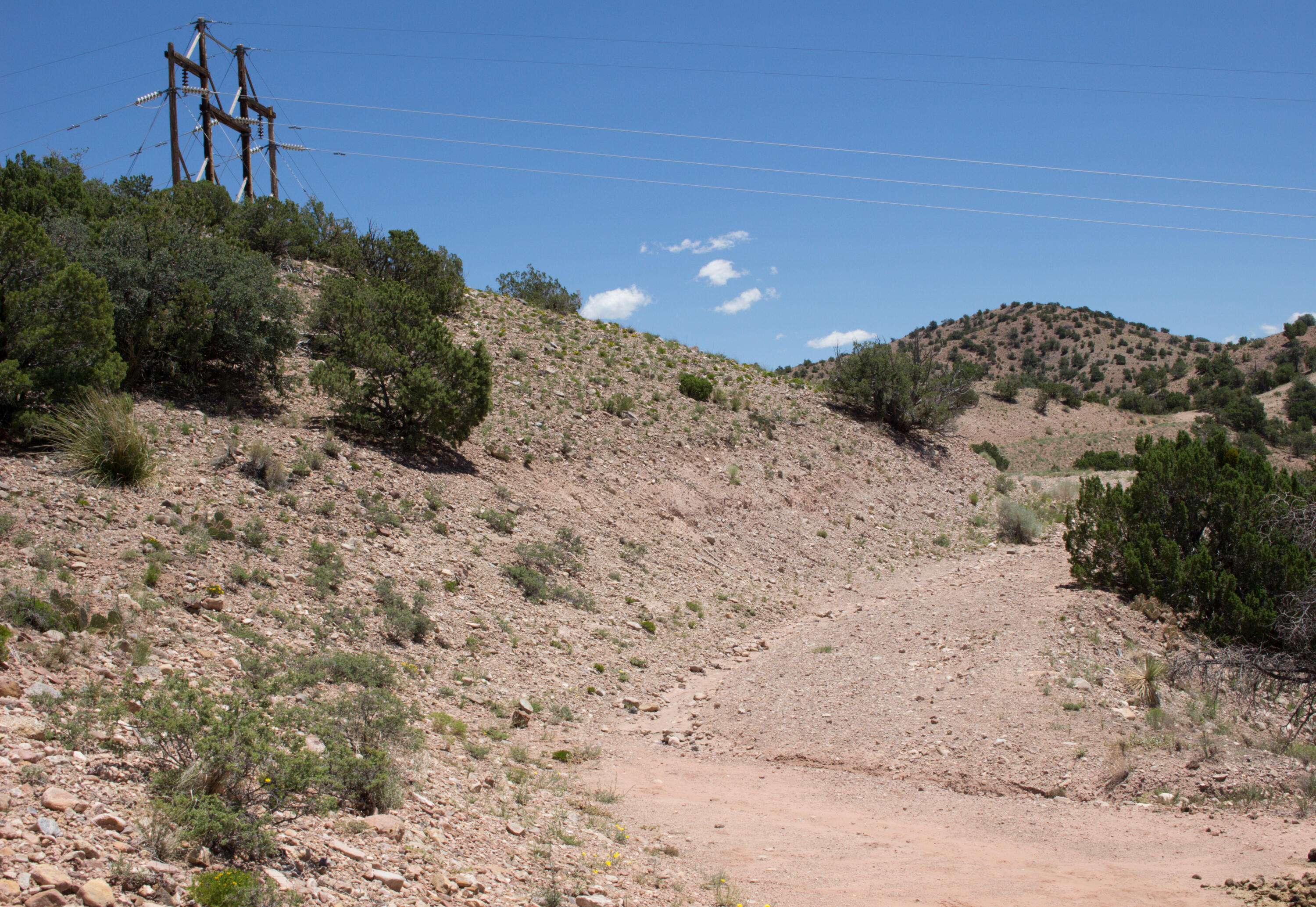 Photo 10 —  Tres Amigos