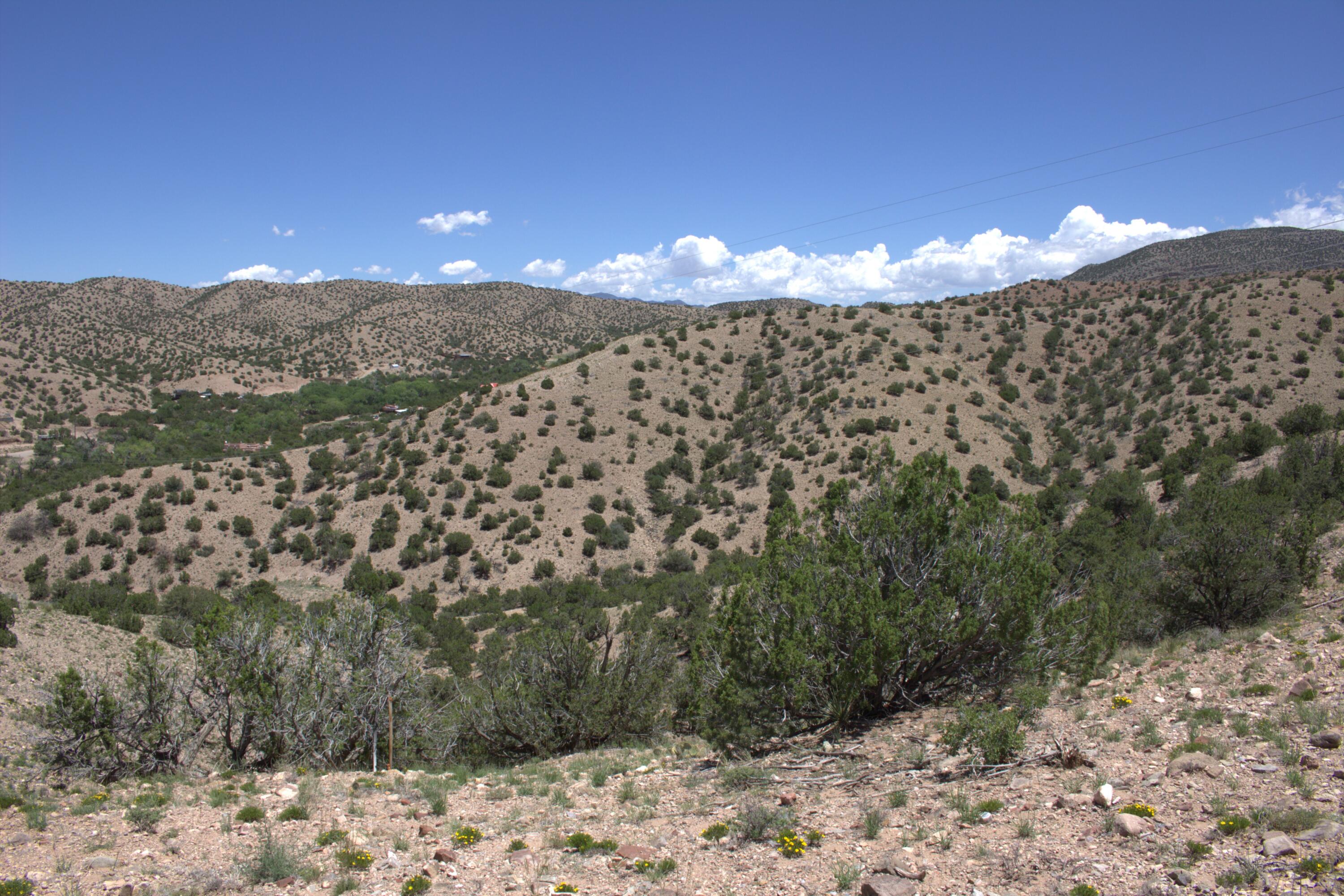 Photo 16 —  Tres Amigos