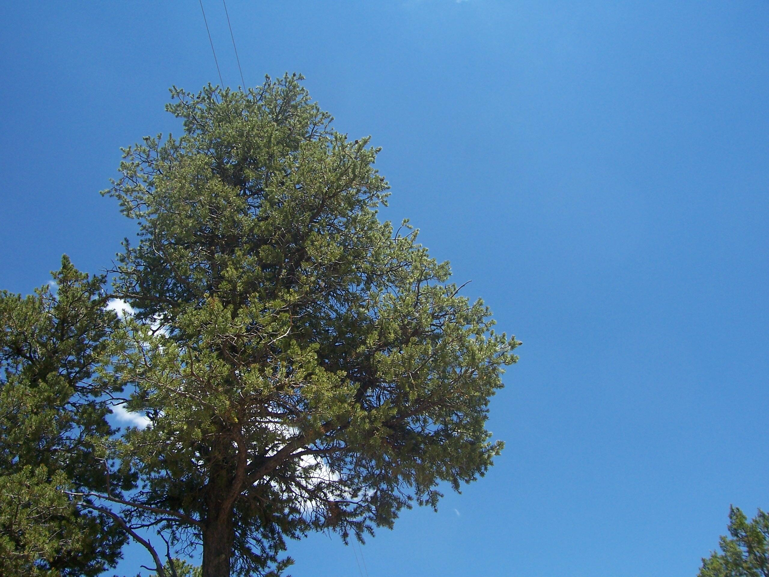 Photo 11 —  County Rd B-52