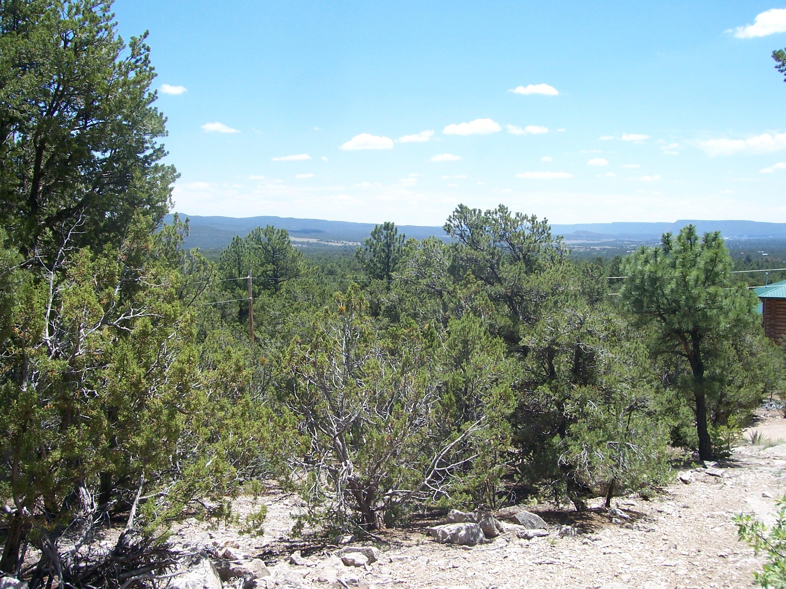 Photo 3 —  County Rd B-52