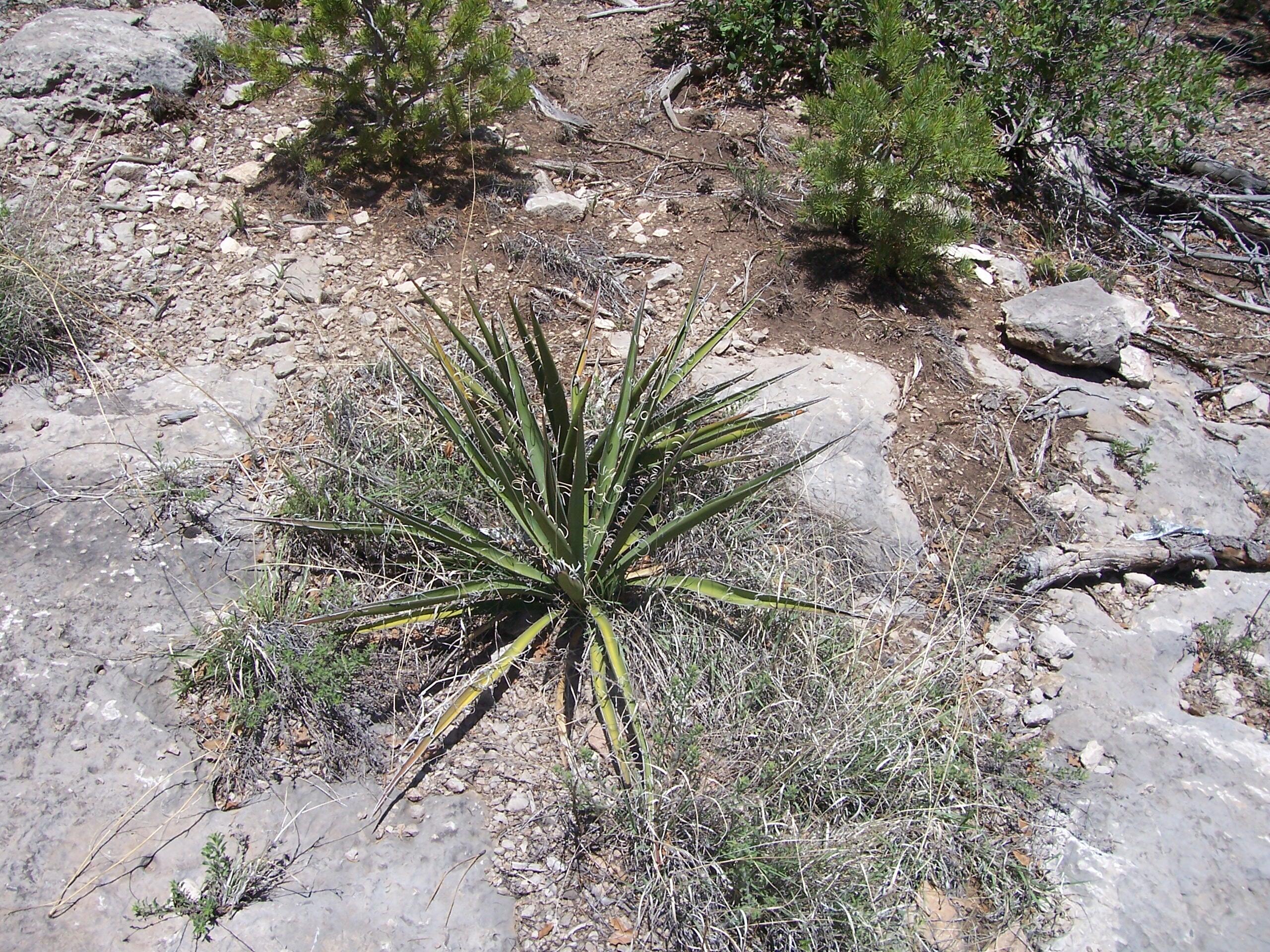 Photo 5 —  County Rd B-52