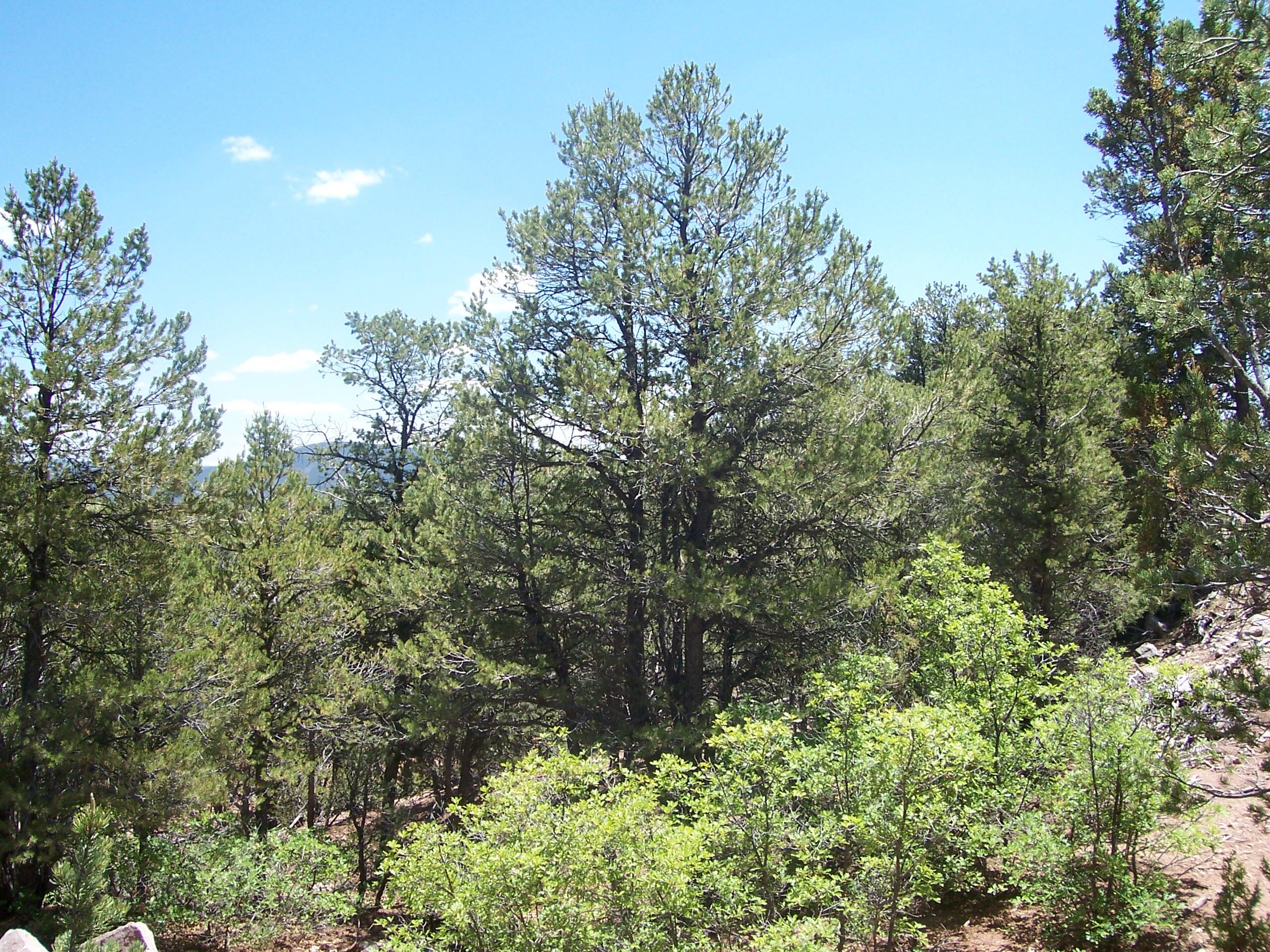 Photo 6 —  County Rd B-52