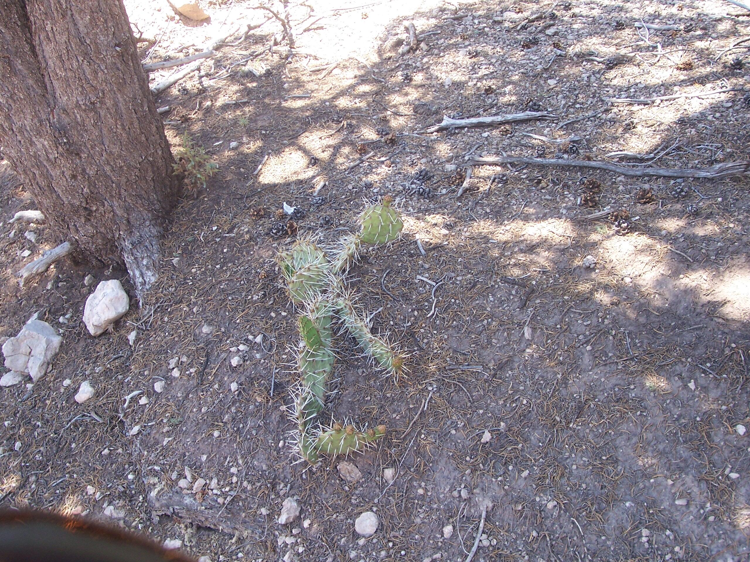 Photo 10 —  County Rd B-52