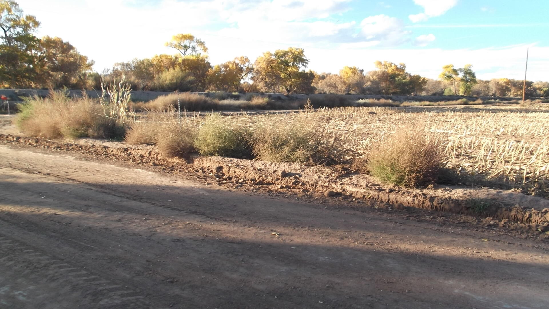 Photo 3 —  E East River Road Road