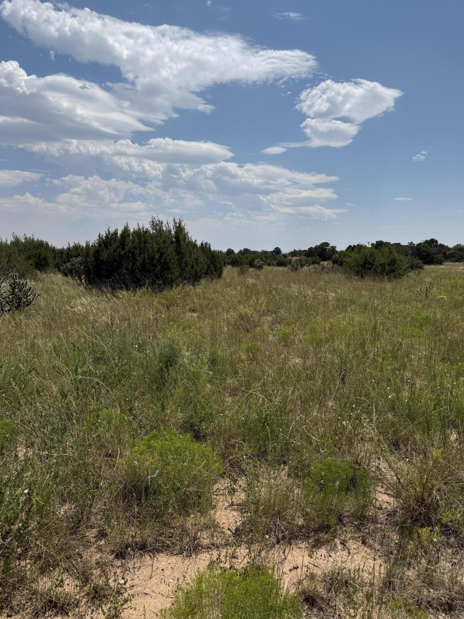 Photo 3 — 36 Entranosa Lane