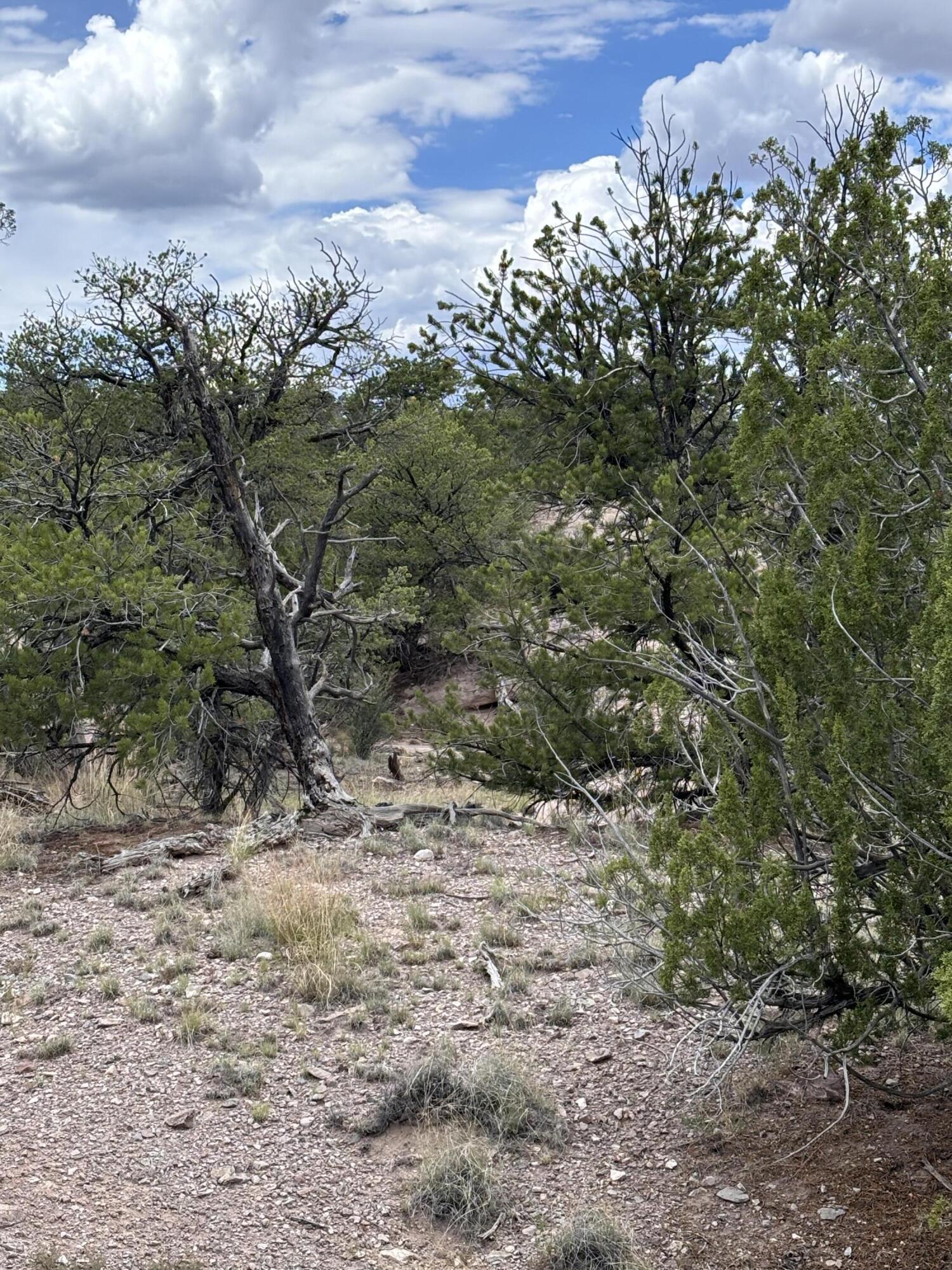 Photo 2 — Lot 43 Abbe Spings