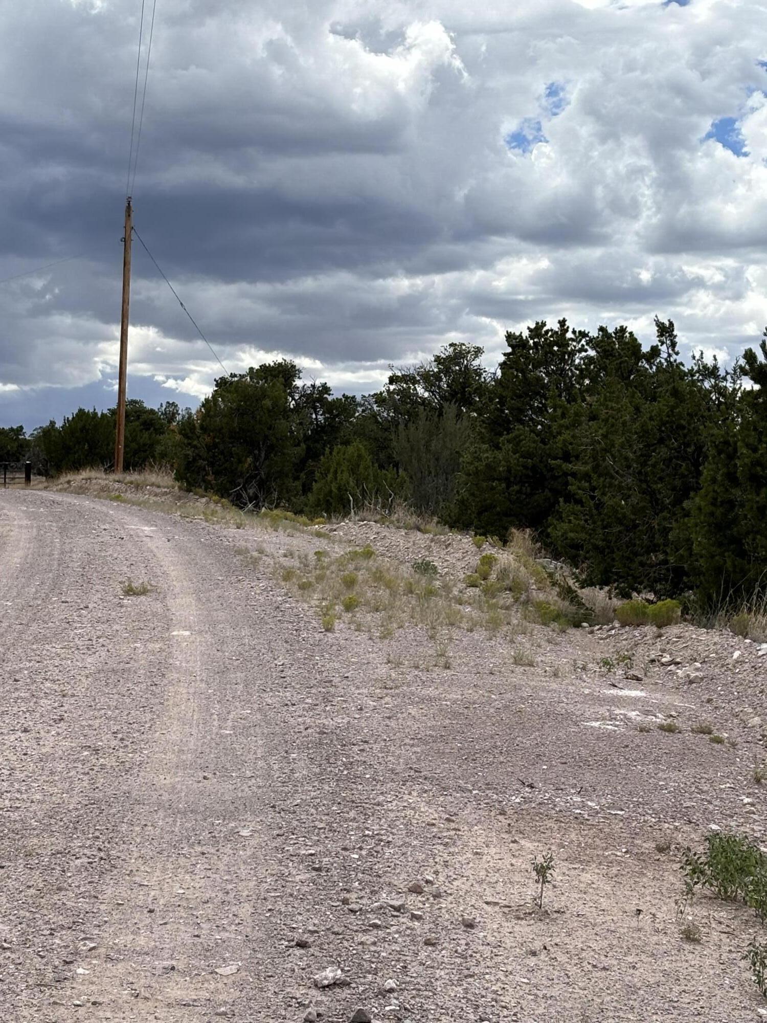 Photo 4 — Lot 43 Abbe Spings