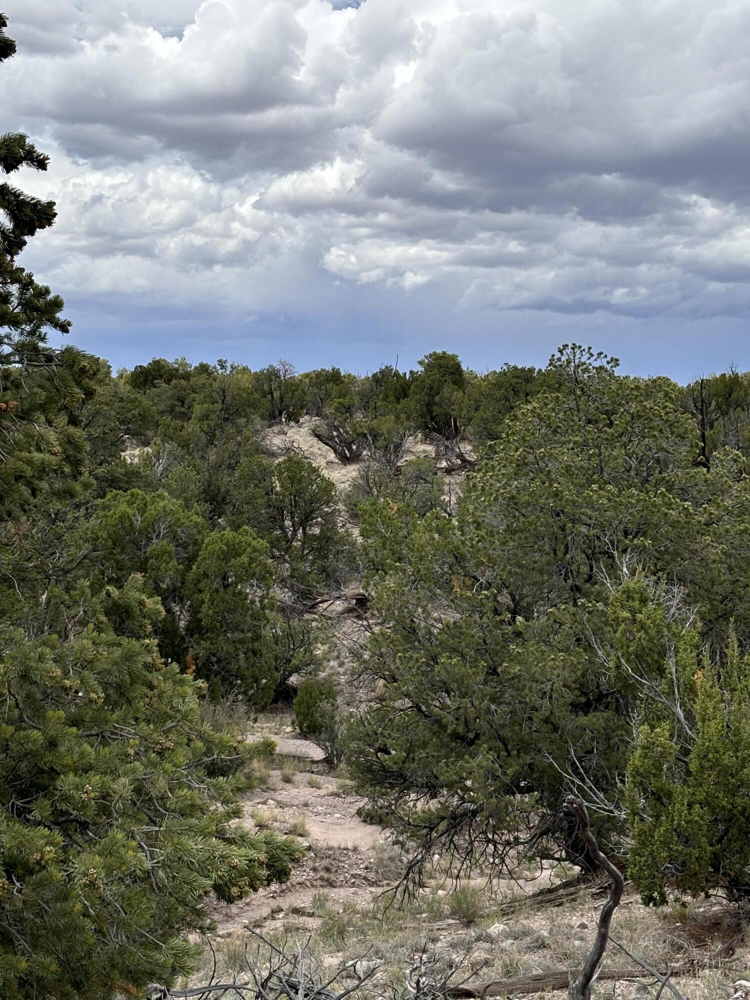 Photo 9 — Lot 43 Abbe Spings