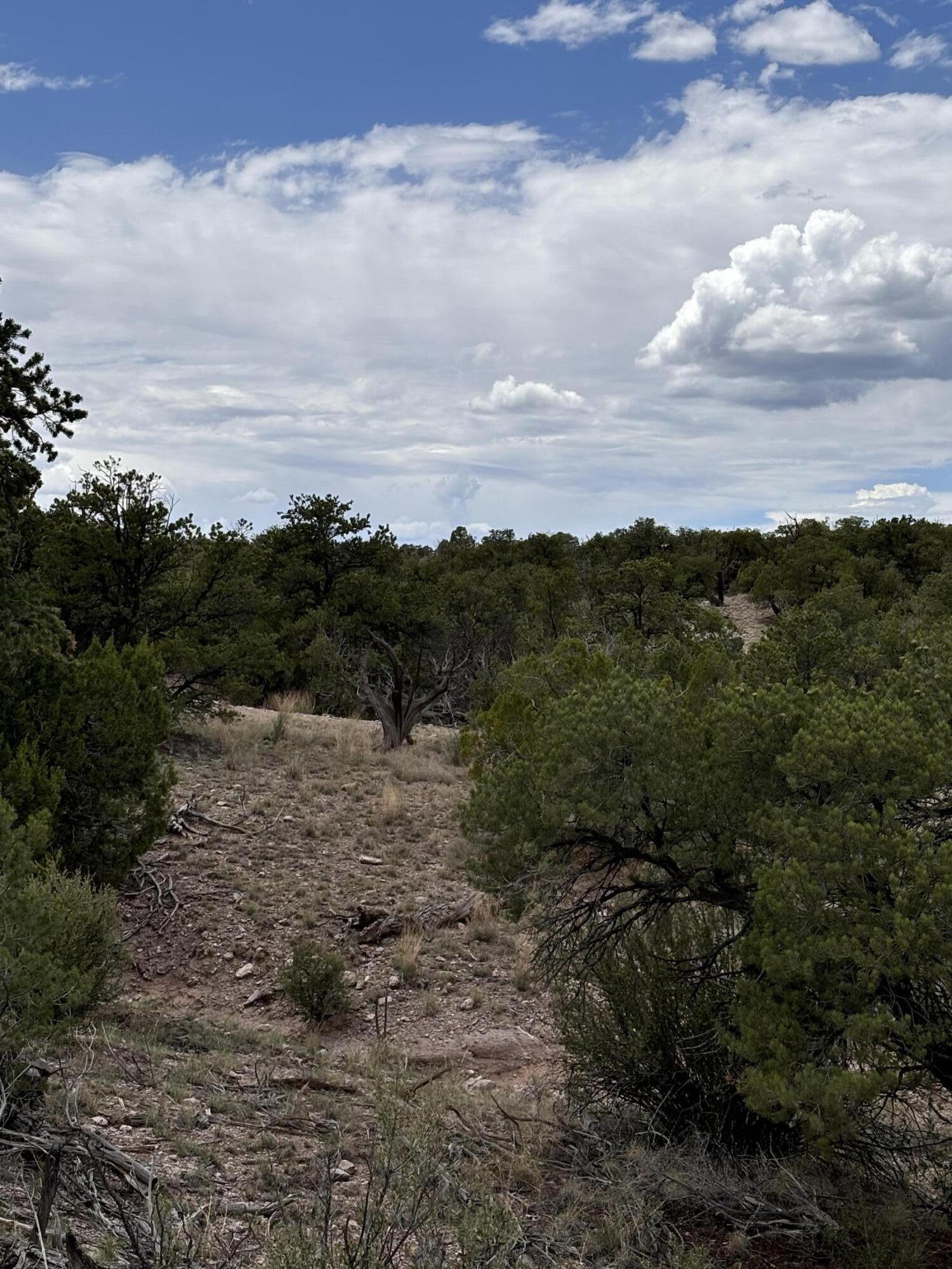 Photo 10 — Lot 43 Abbe Spings