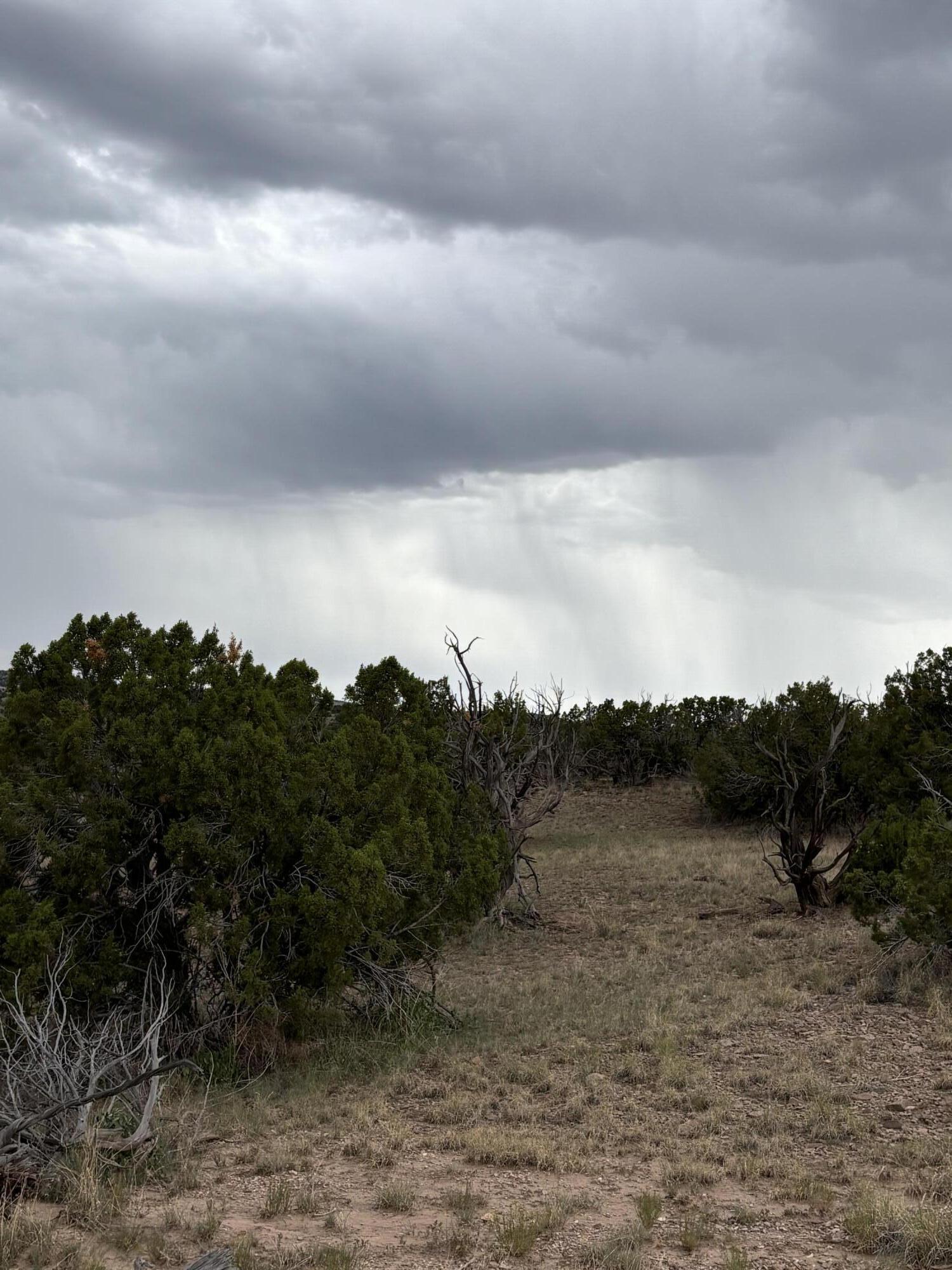Photo 11 — Lot 43 Abbe Spings