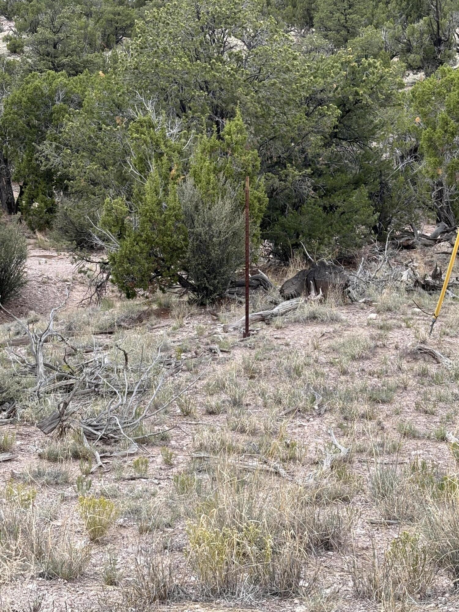 Photo 12 — Lot 43 Abbe Spings