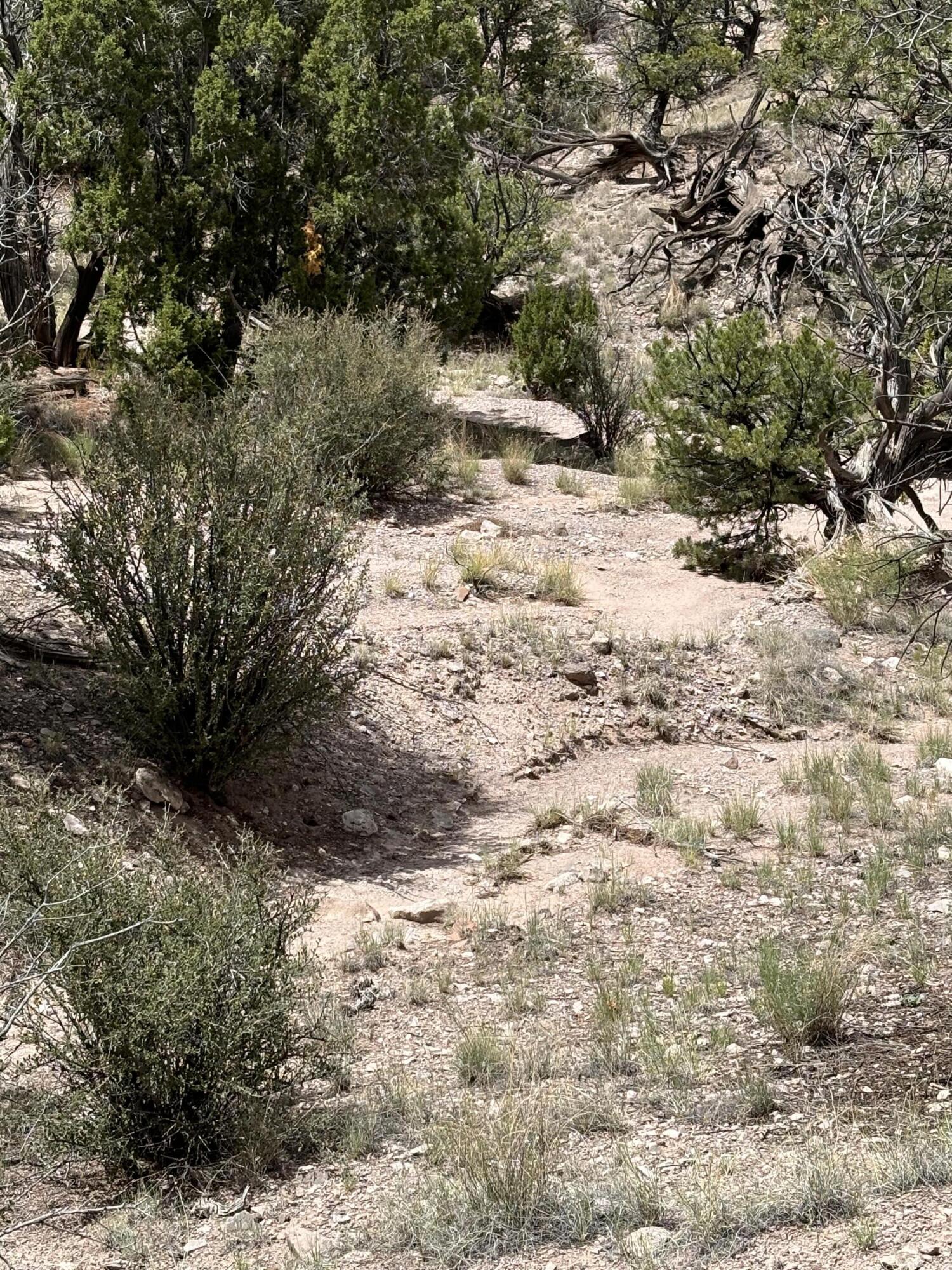 Photo 13 — Lot 43 Abbe Spings