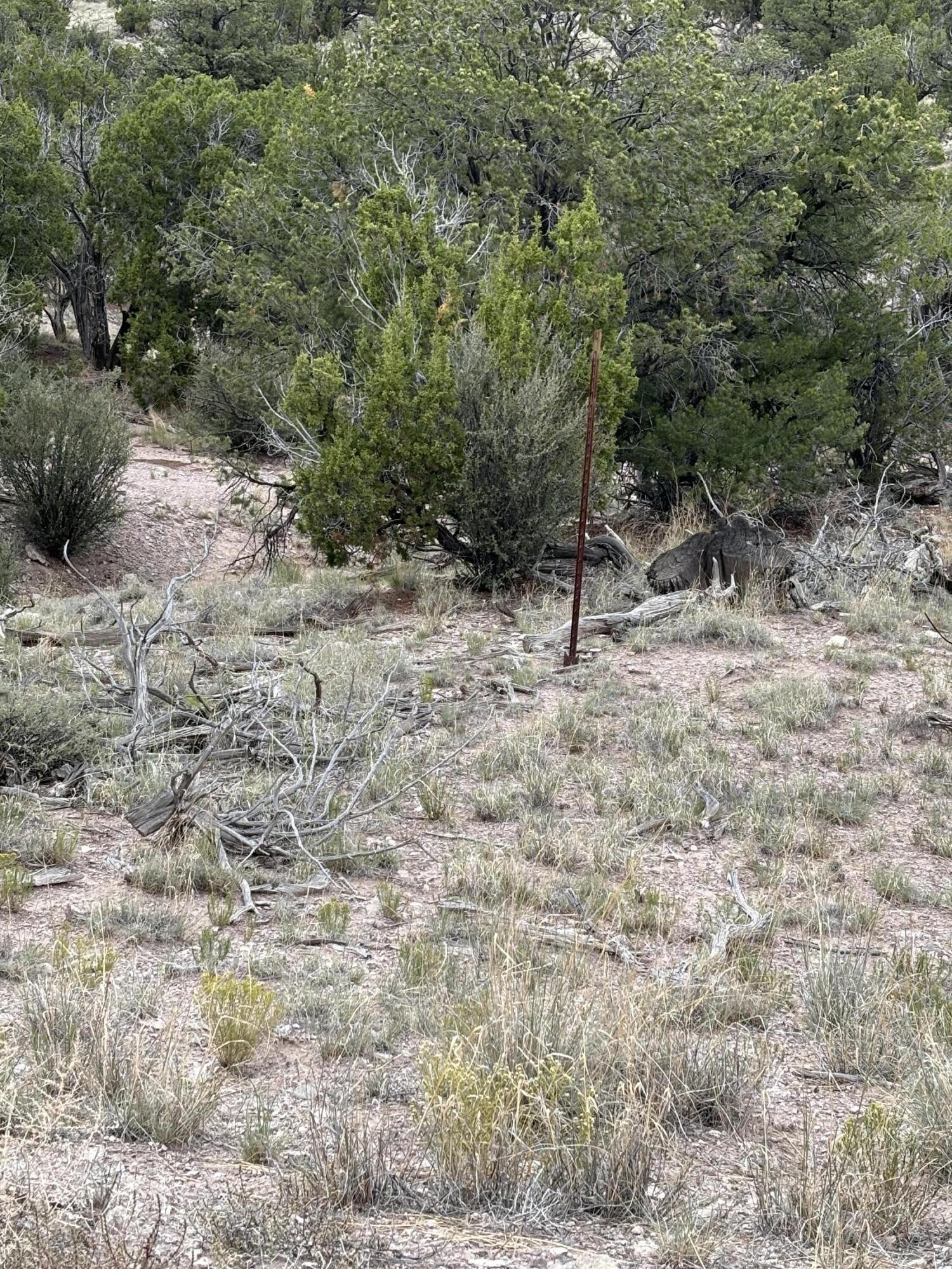 Photo 14 — Lot 43 Abbe Spings