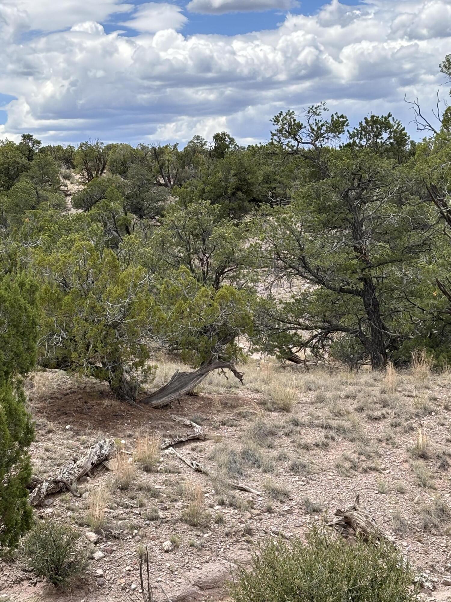 Photo 15 — Lot 43 Abbe Spings