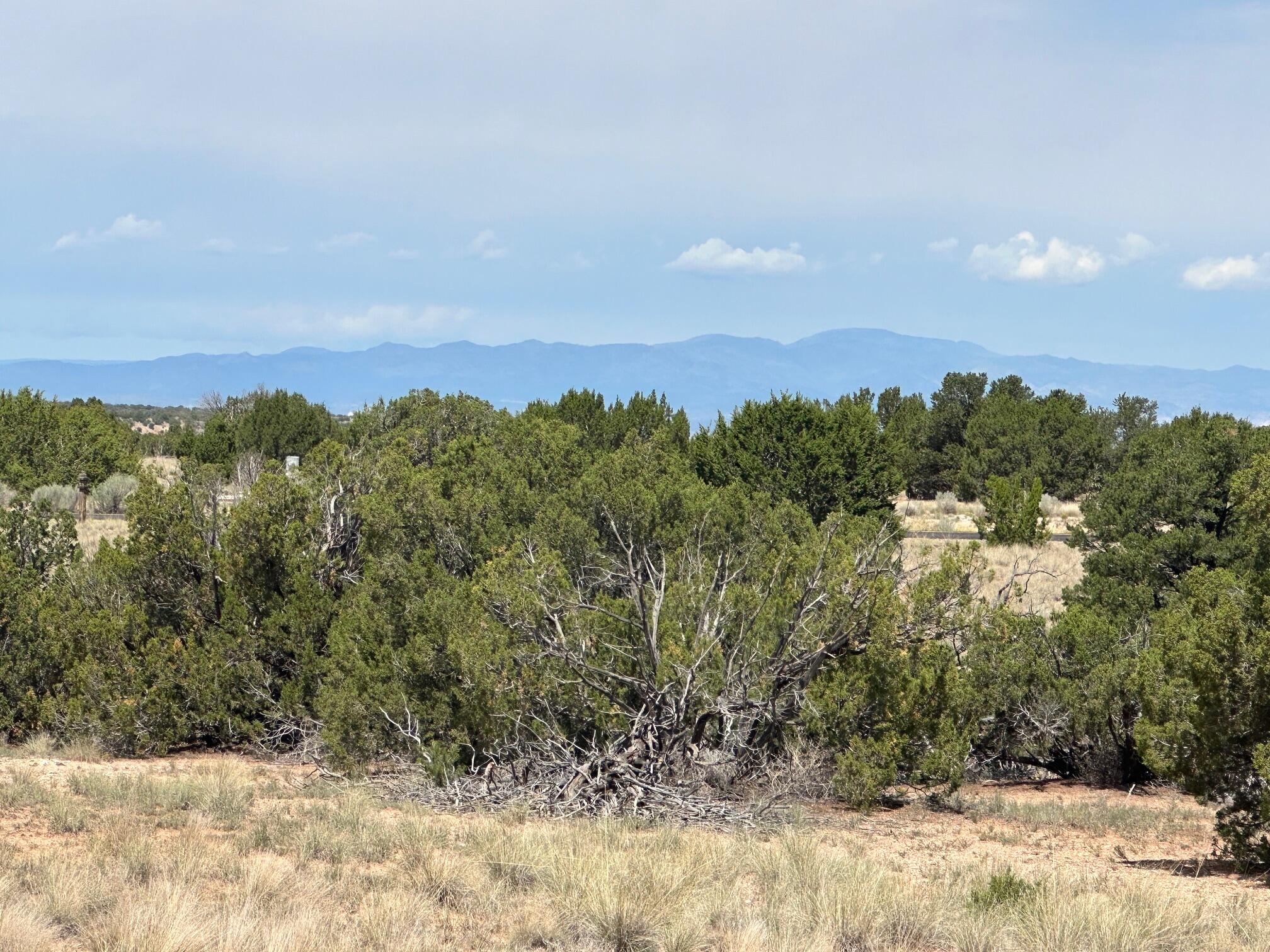 Photo 14 — 1 Gold Mine Trail