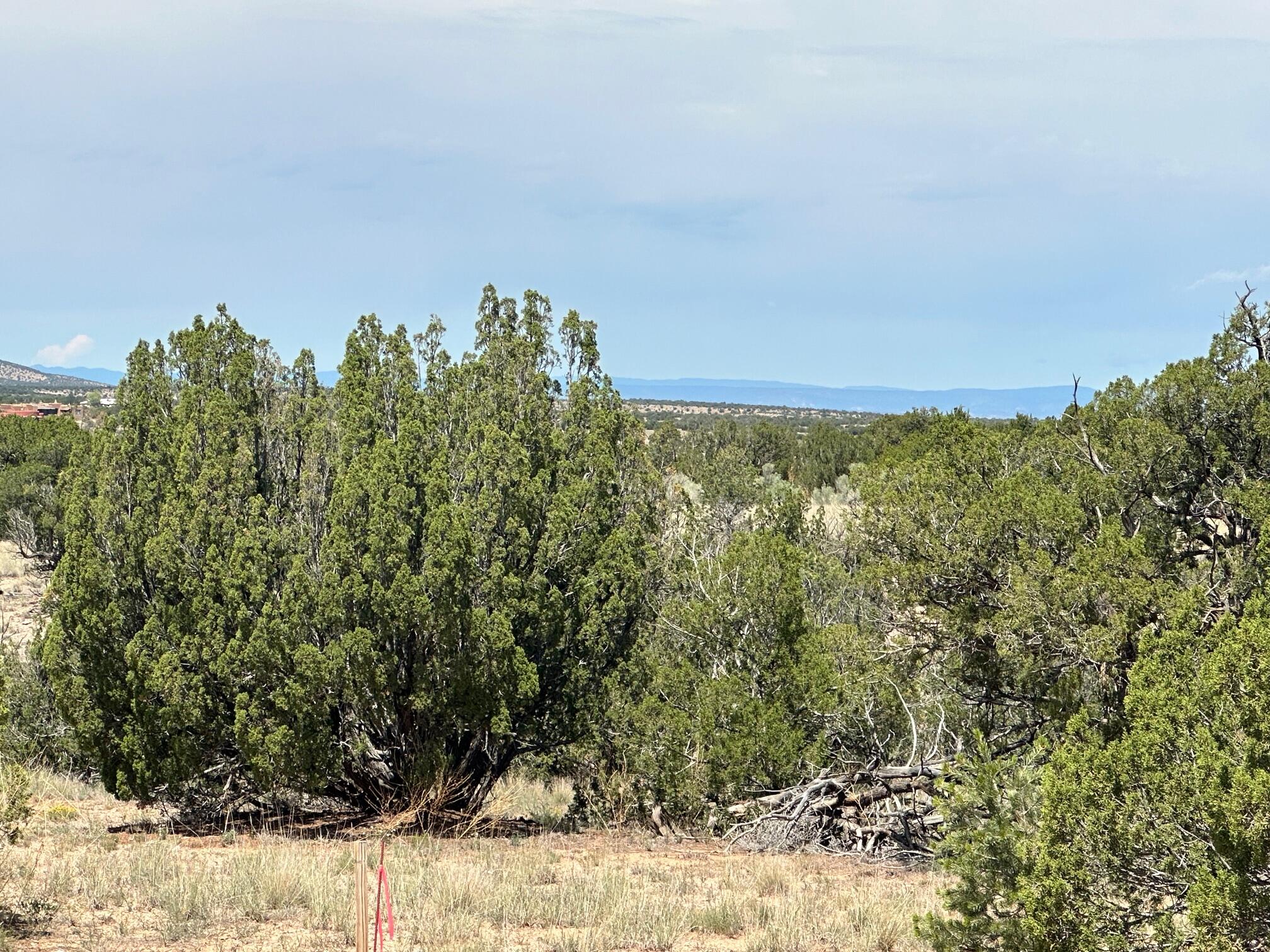 Photo 16 — 1 Gold Mine Trail
