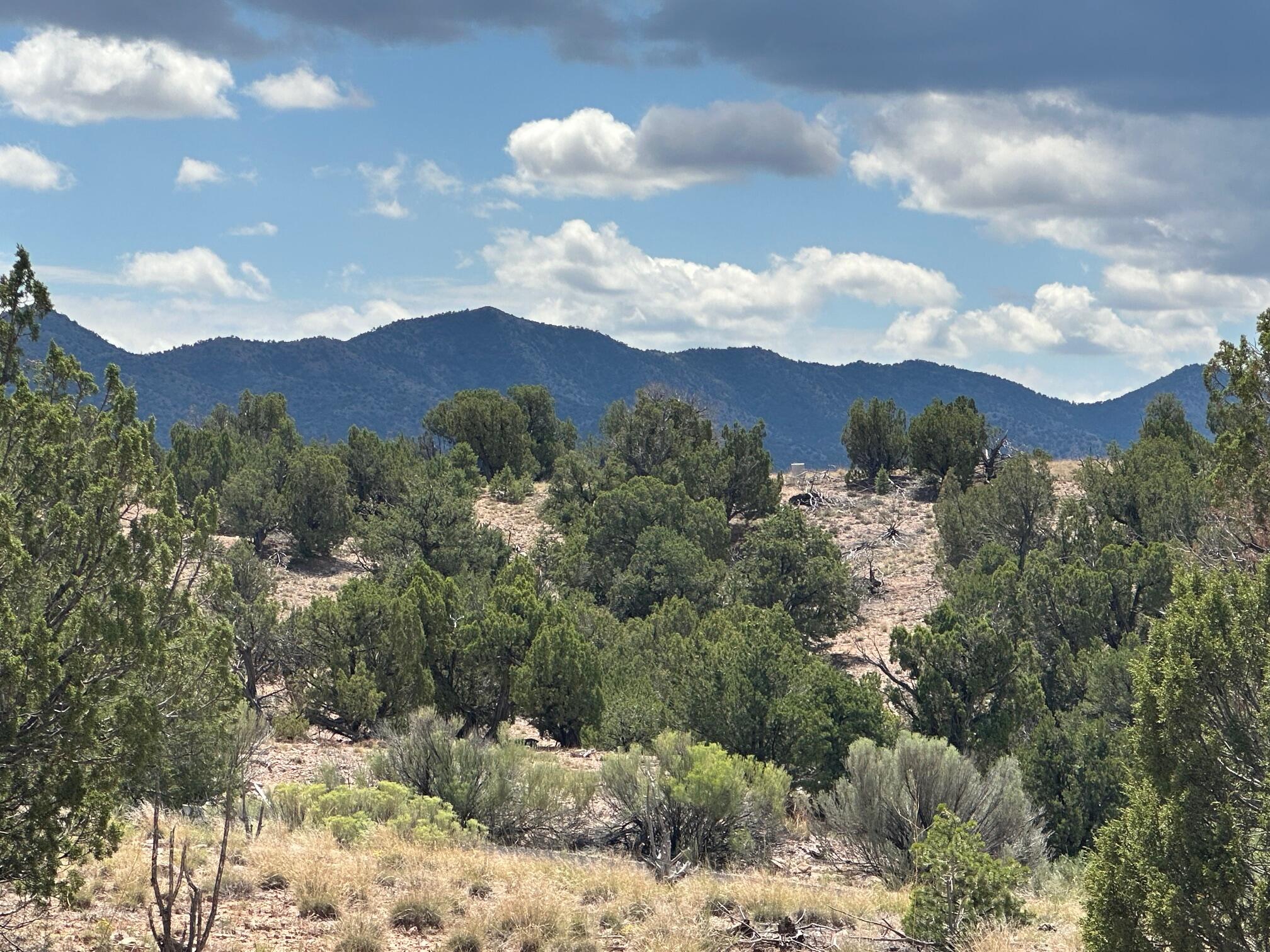 Photo 20 — 1 Gold Mine Trail