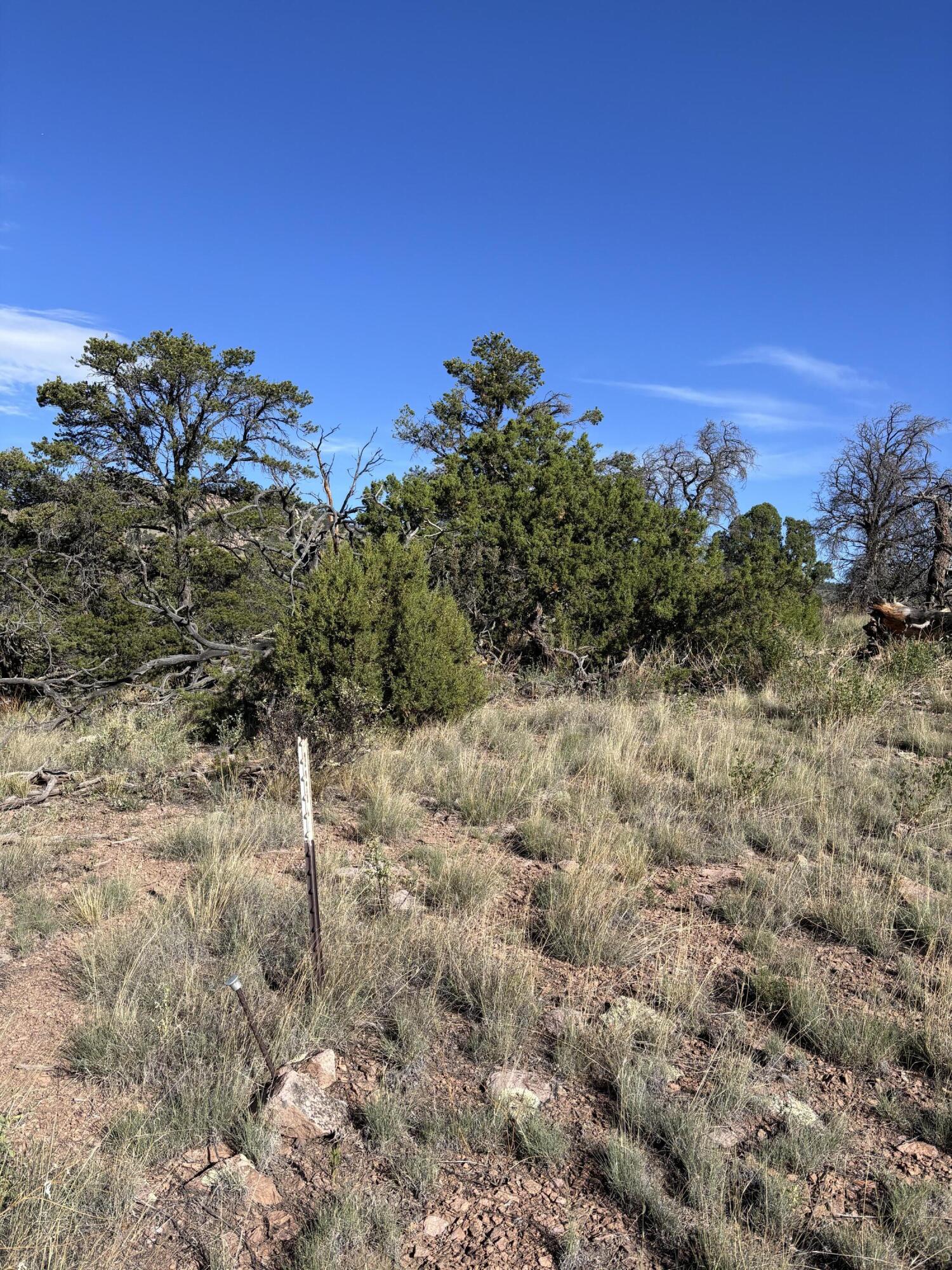 Photo 4 — 34 Lookout Circle
