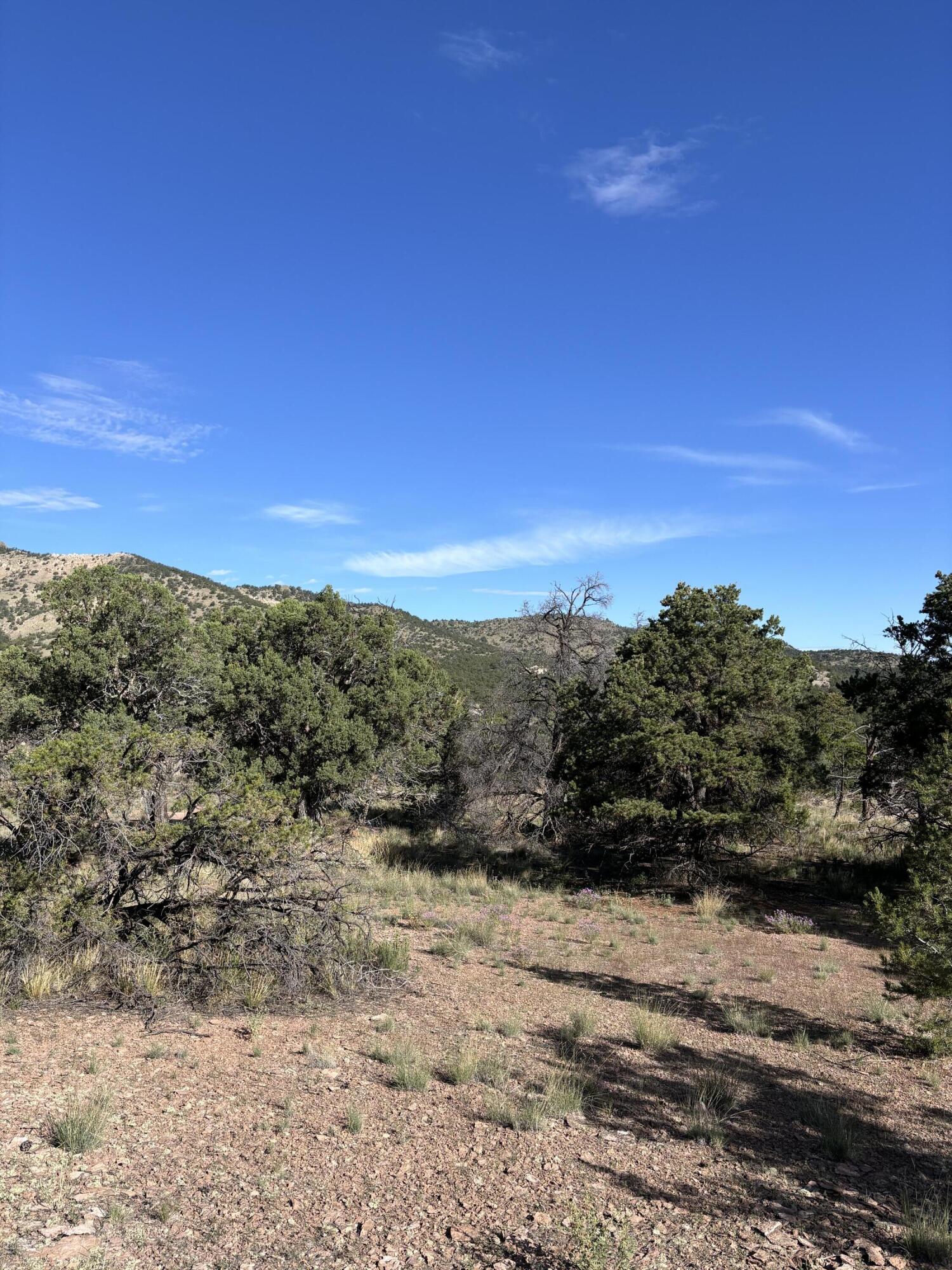 Photo 3 — 34 Lookout Circle