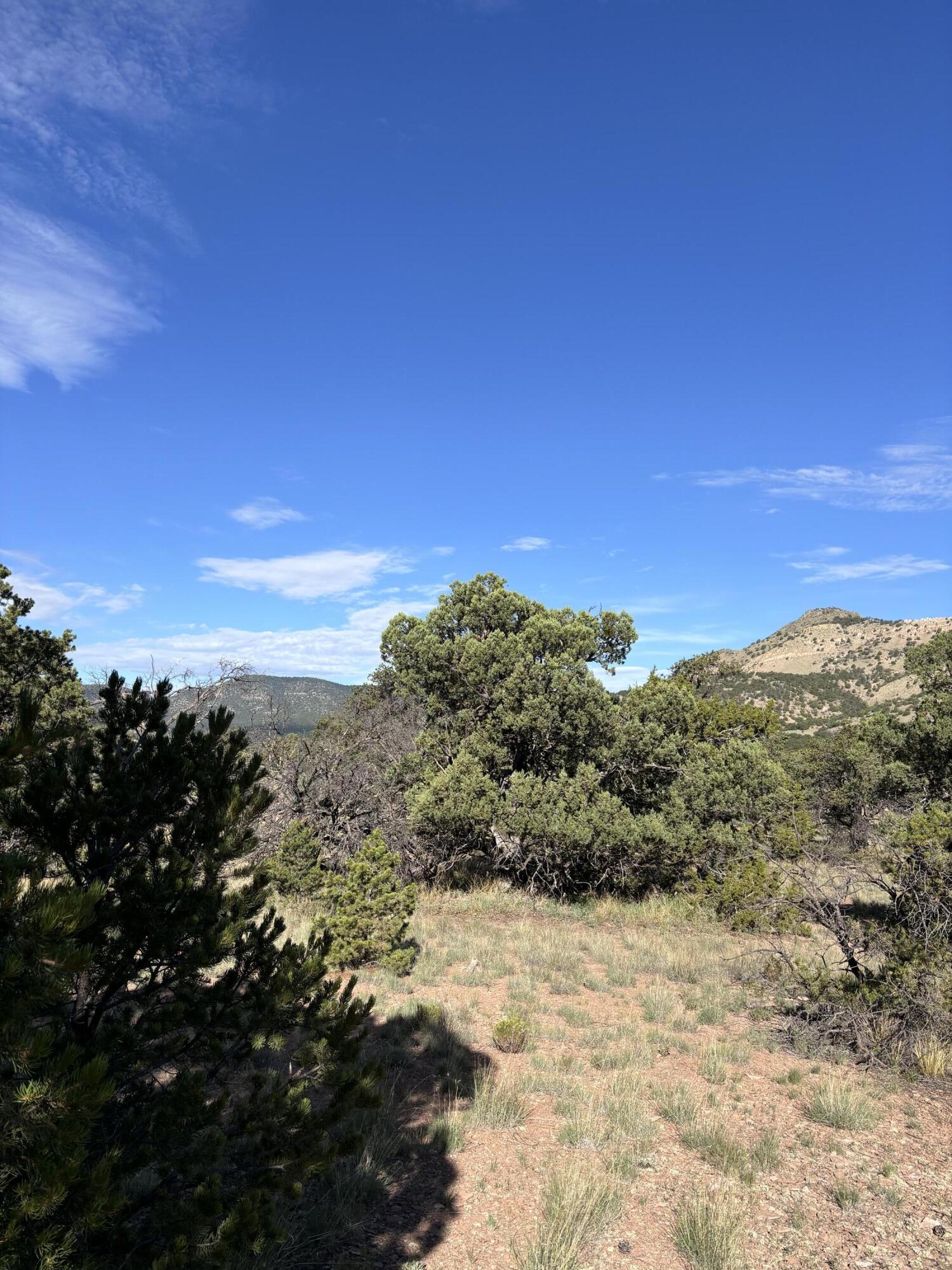 Photo 12 — 34 Lookout Circle