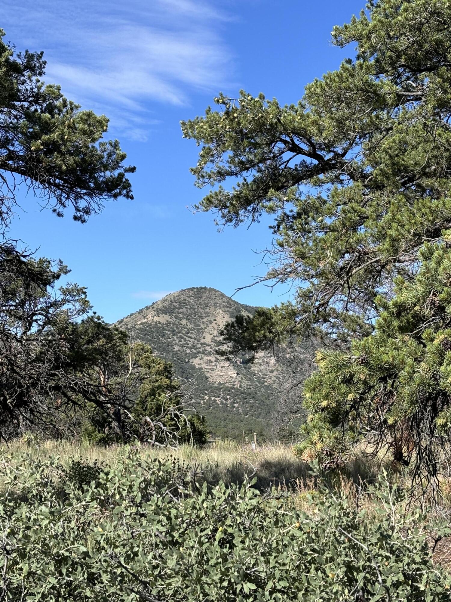 Photo 11 — 34 Lookout Circle