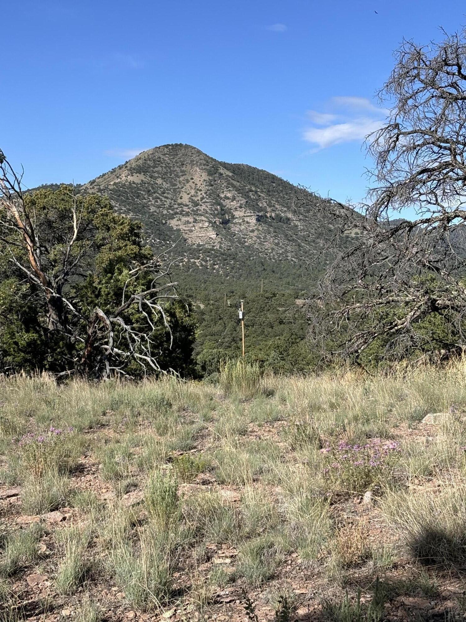 Photo 10 — 34 Lookout Circle