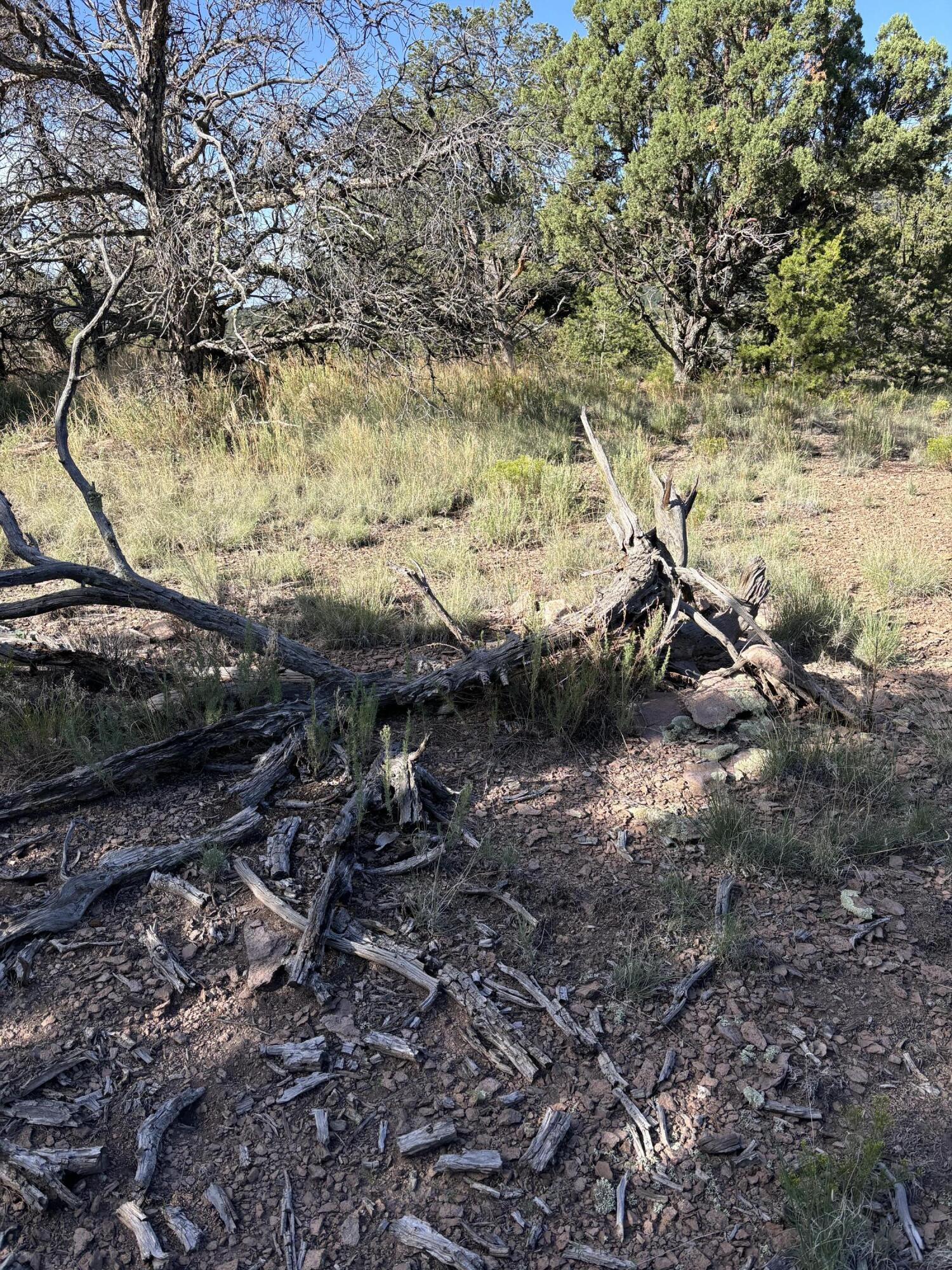 Photo 9 — 34 Lookout Circle
