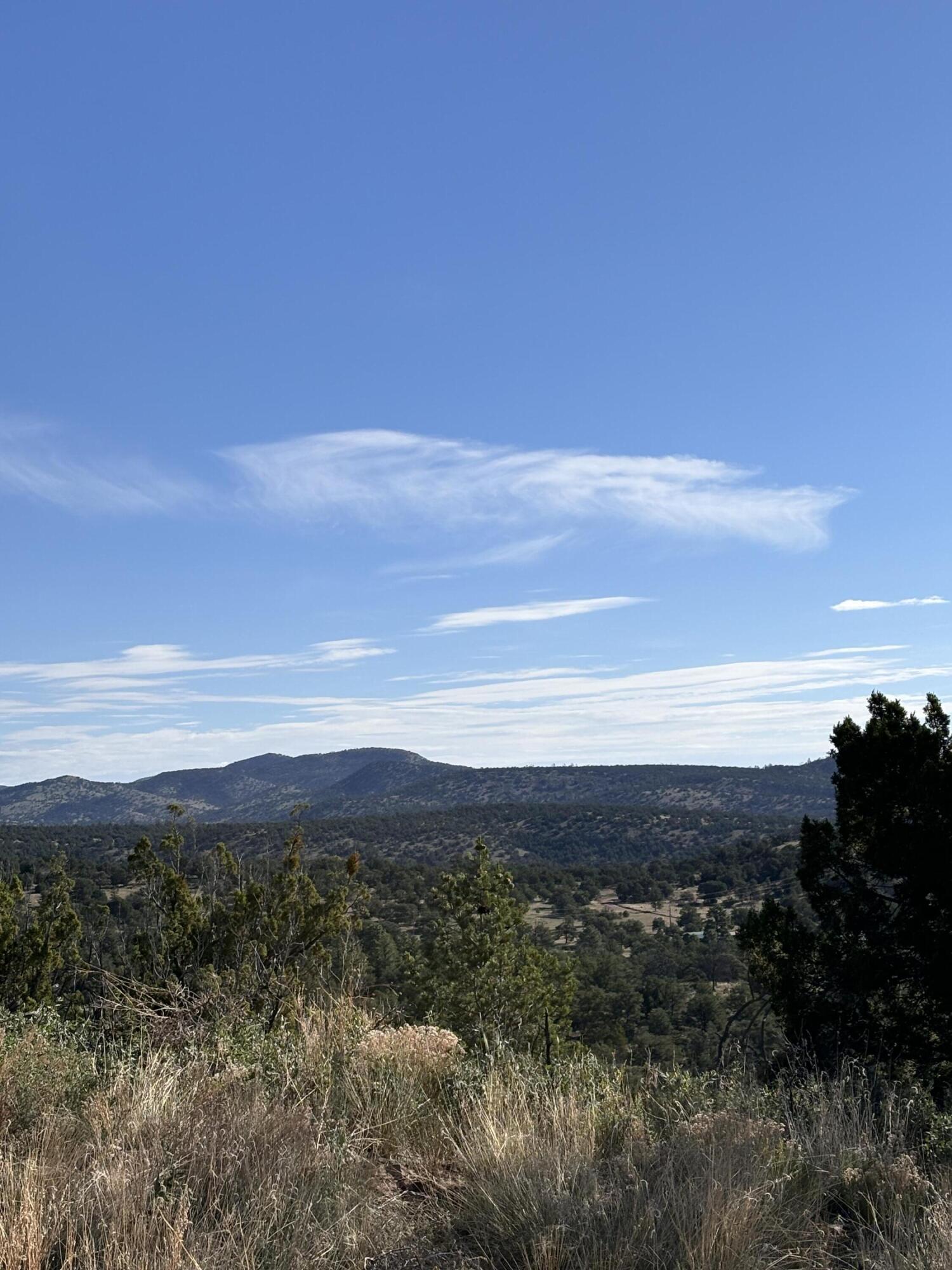 Photo 8 — 34 Lookout Circle