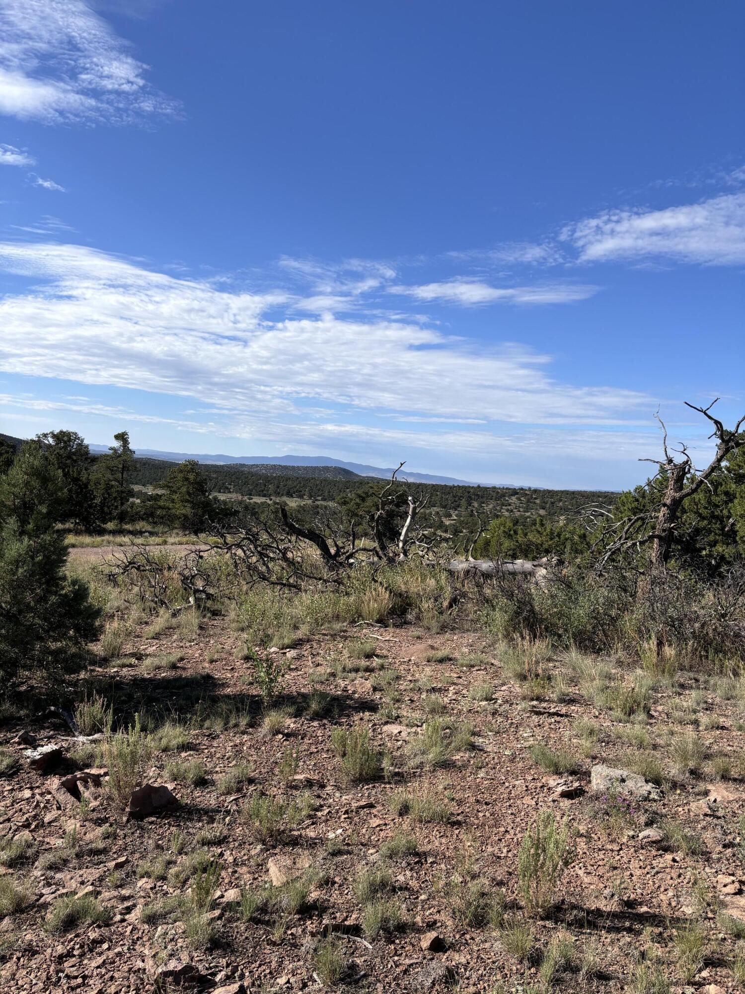 Photo 7 — 34 Lookout Circle