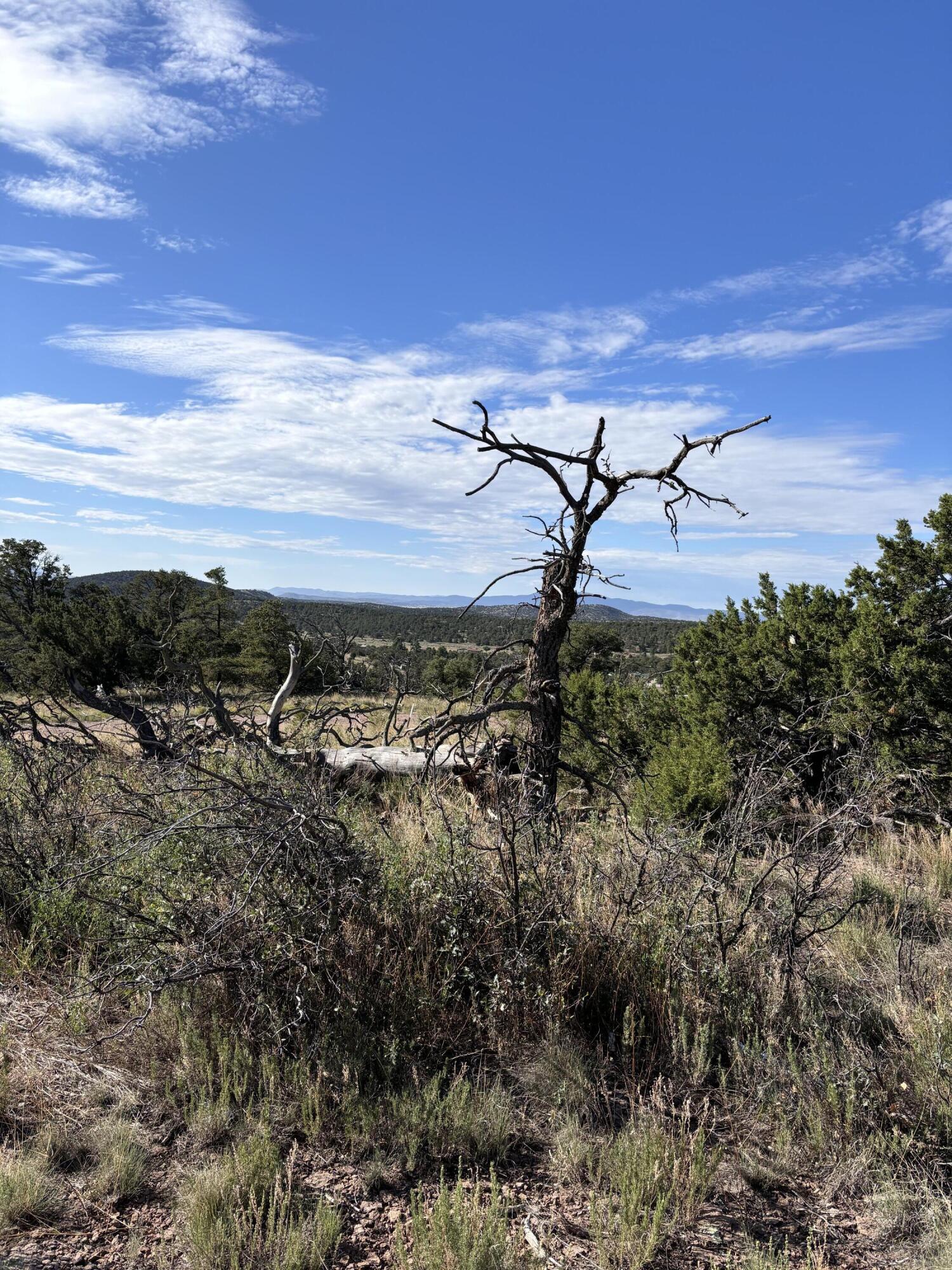 Photo 6 — 34 Lookout Circle