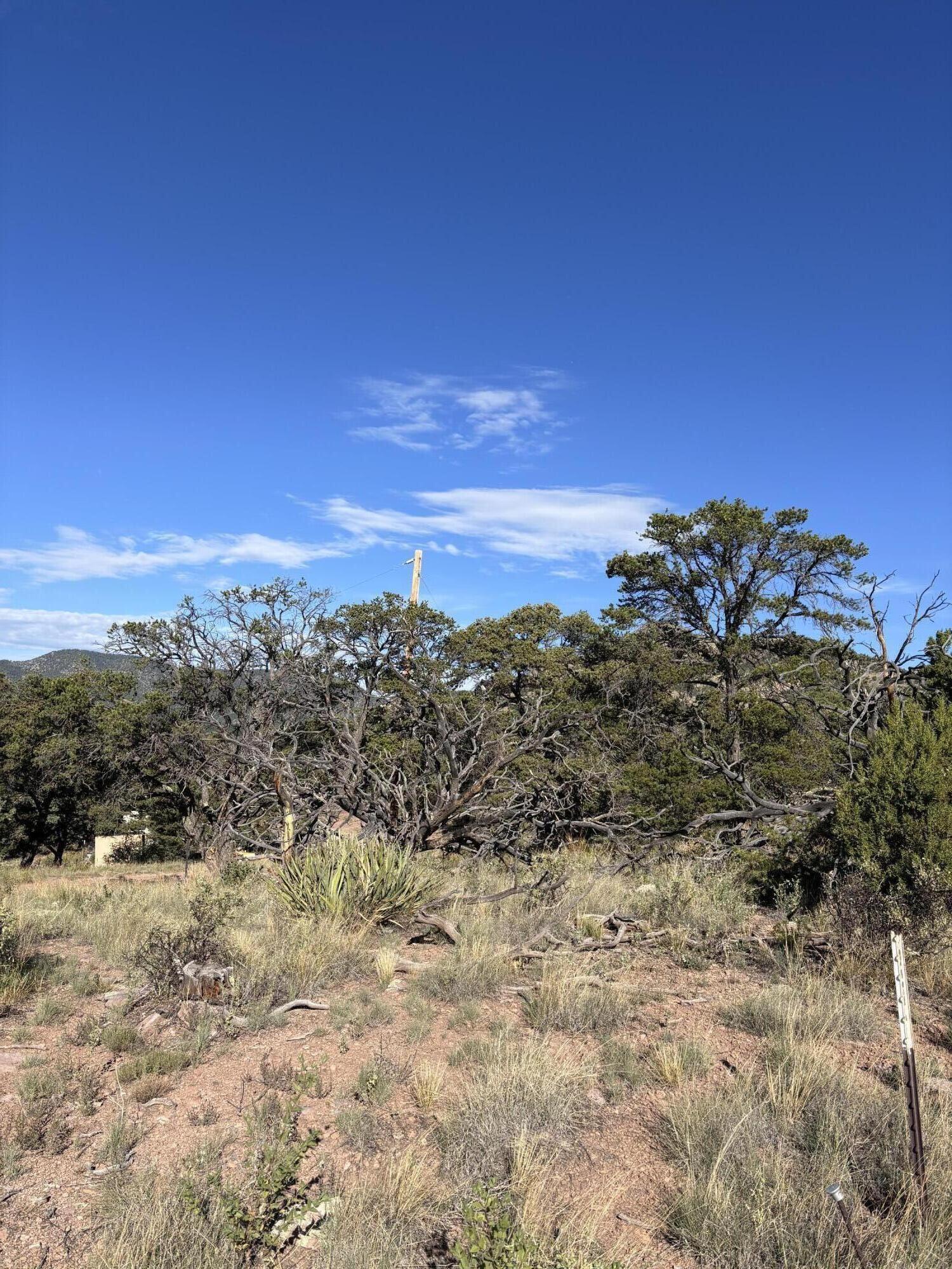Photo 5 — 34 Lookout Circle