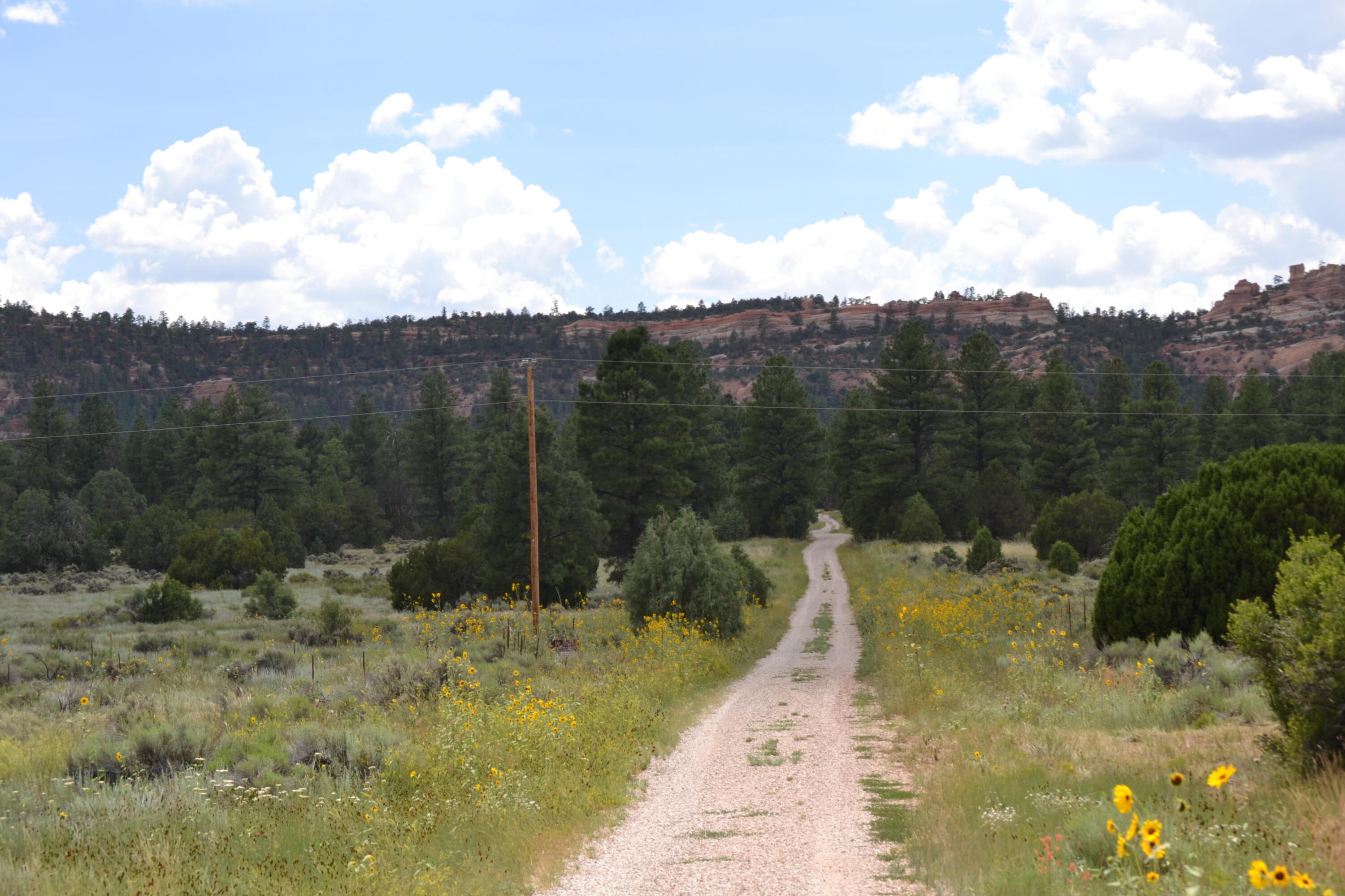 Photo 6 —  Timberlake Ranch