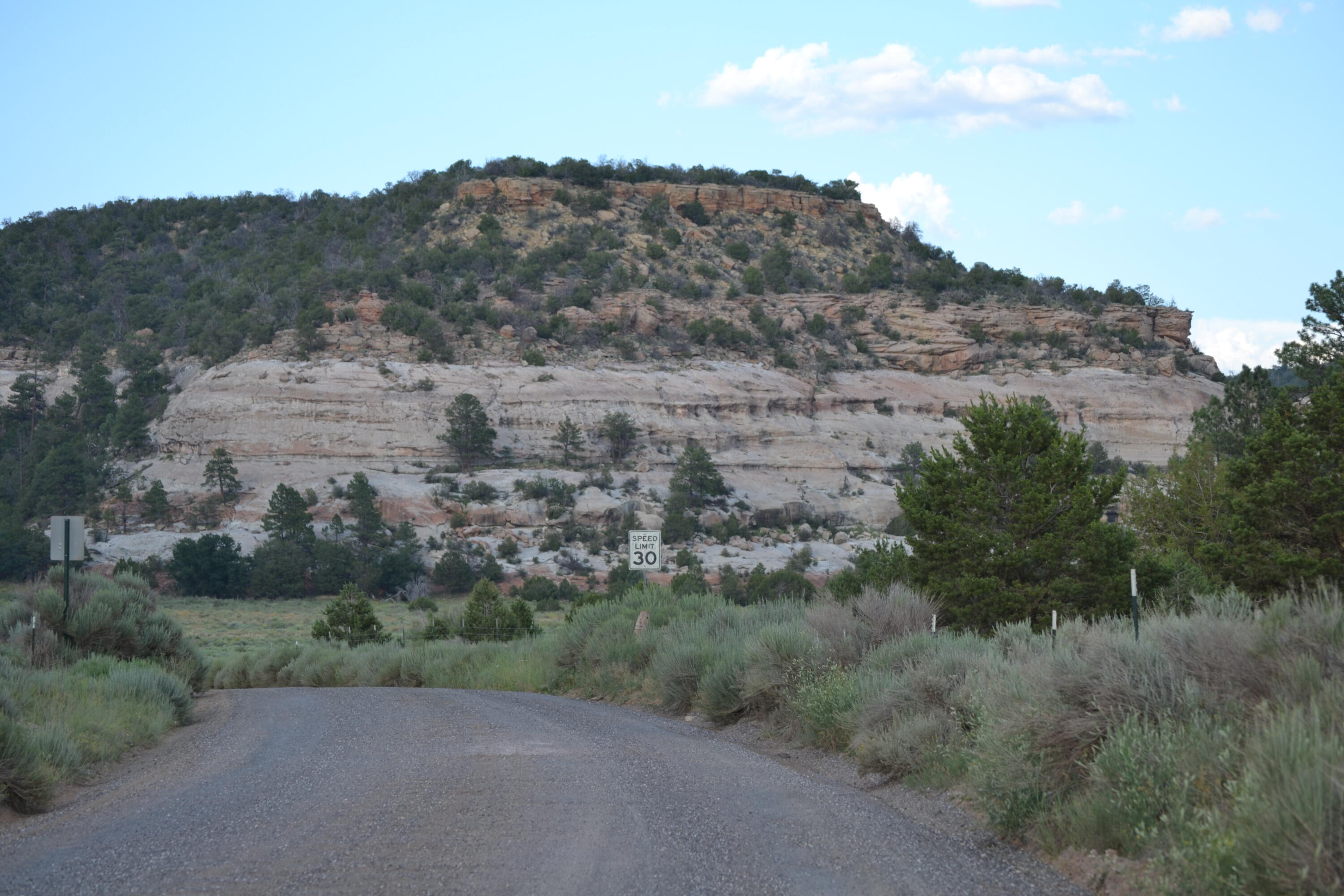 Photo 5 —  Timberlake Ranch