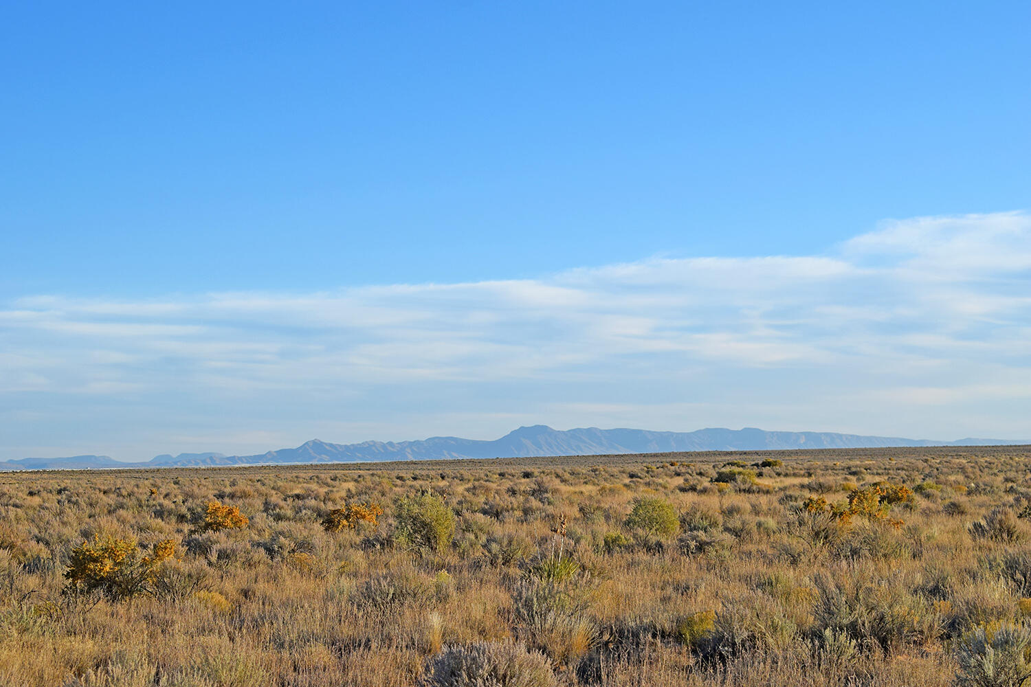 Photo 4 — Lot 4 Rio Del Oro 61