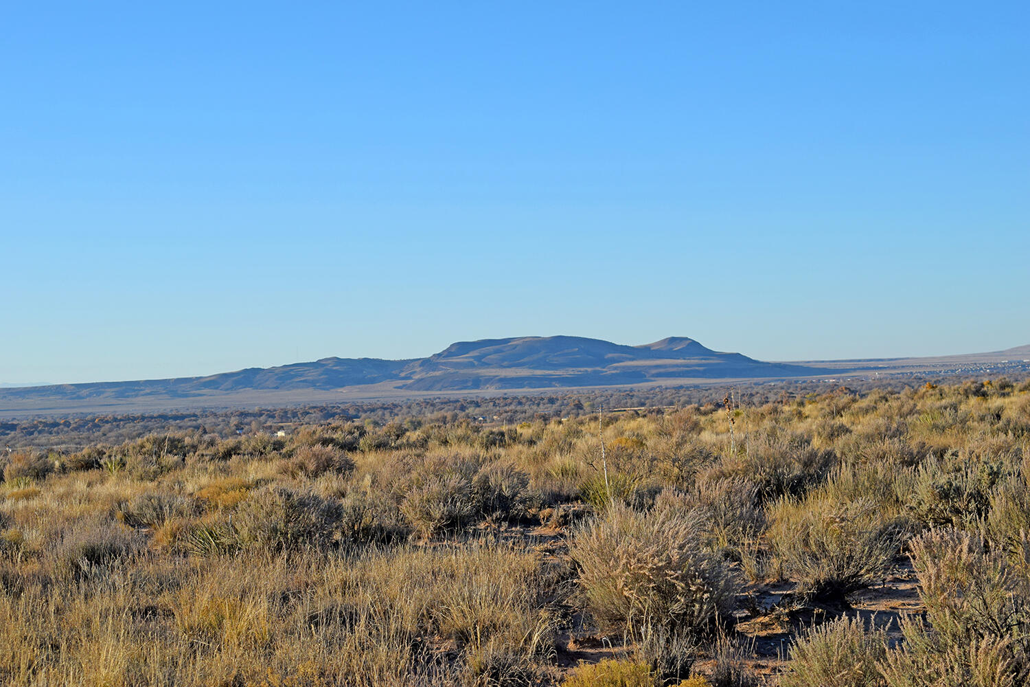 Photo 10 — Lot 4 Rio Del Oro 61
