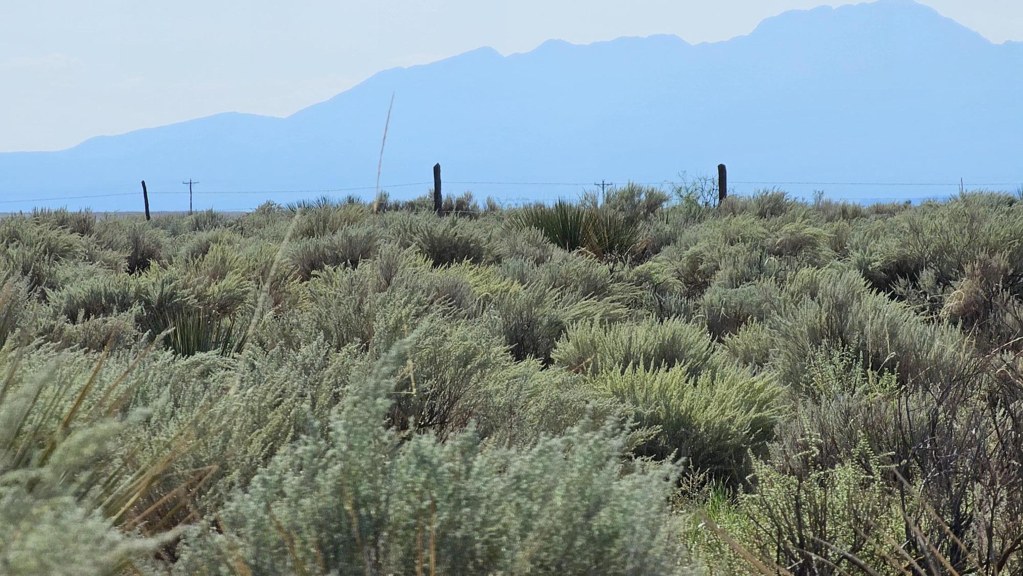 Photo 3 — VL Tierra Grande Lot 9 Block 2 12