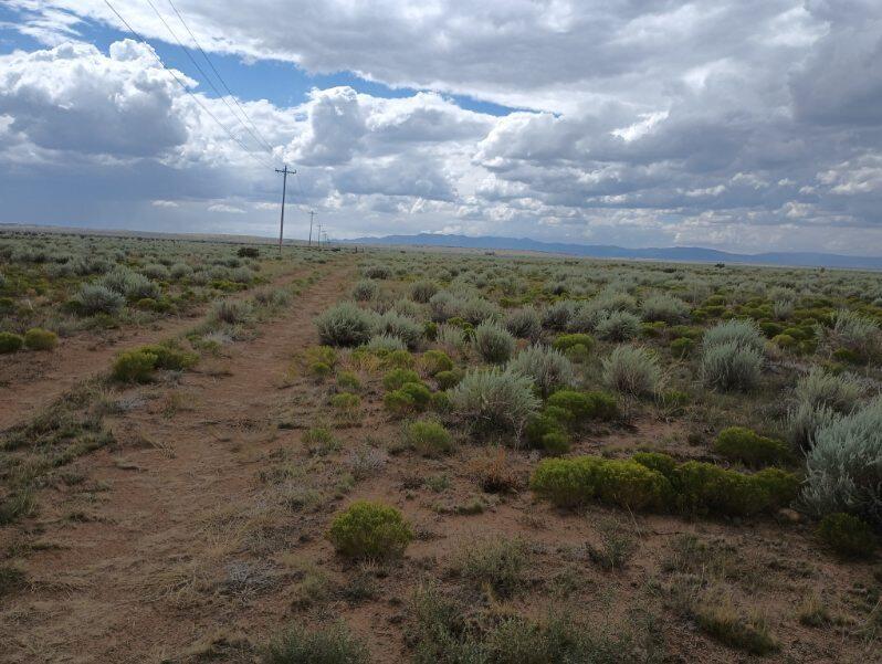 Photo 4 —  County Rd B 038