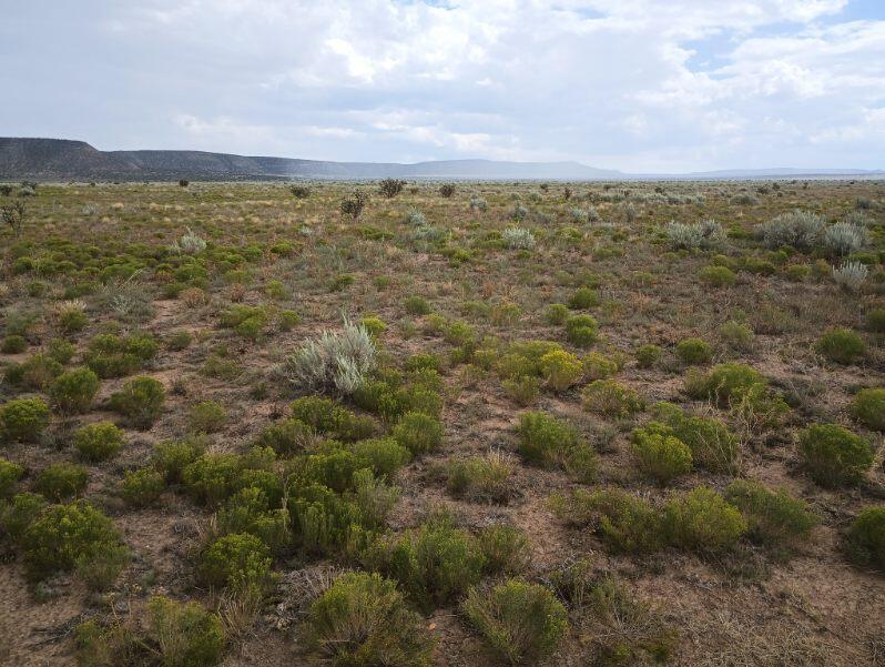 Photo 5 —  County Rd B 038