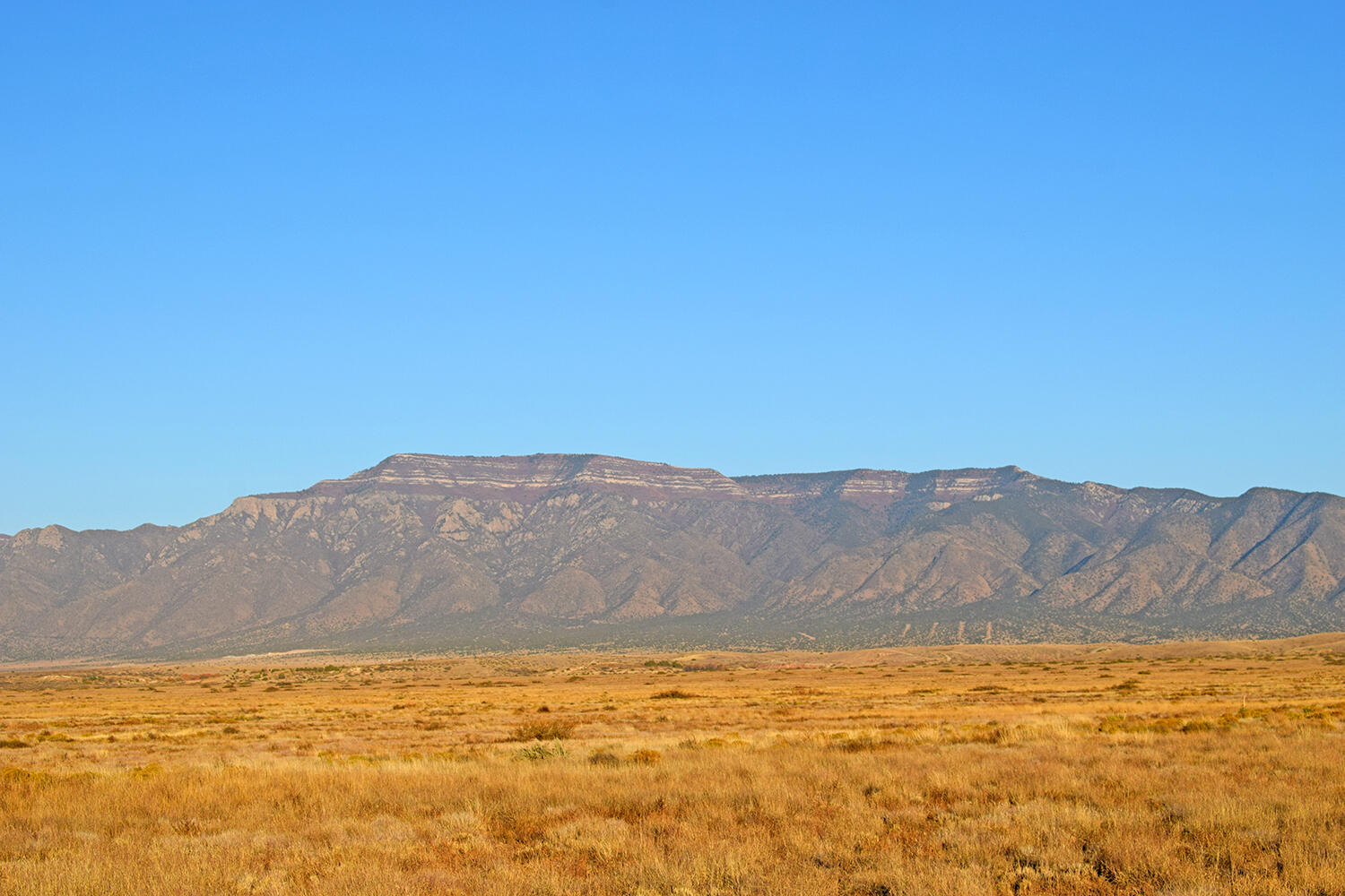 Photo 5 — Lot 15 Rio Del Oro 2