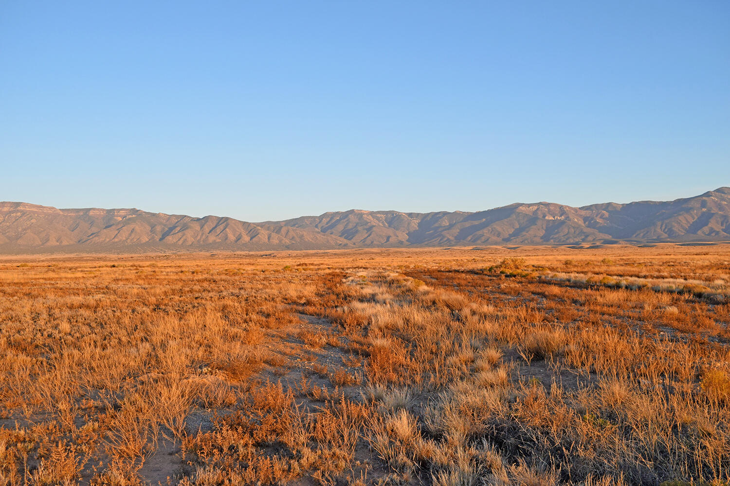 Photo 11 — Lot 1-2 Rio Del Oro 3