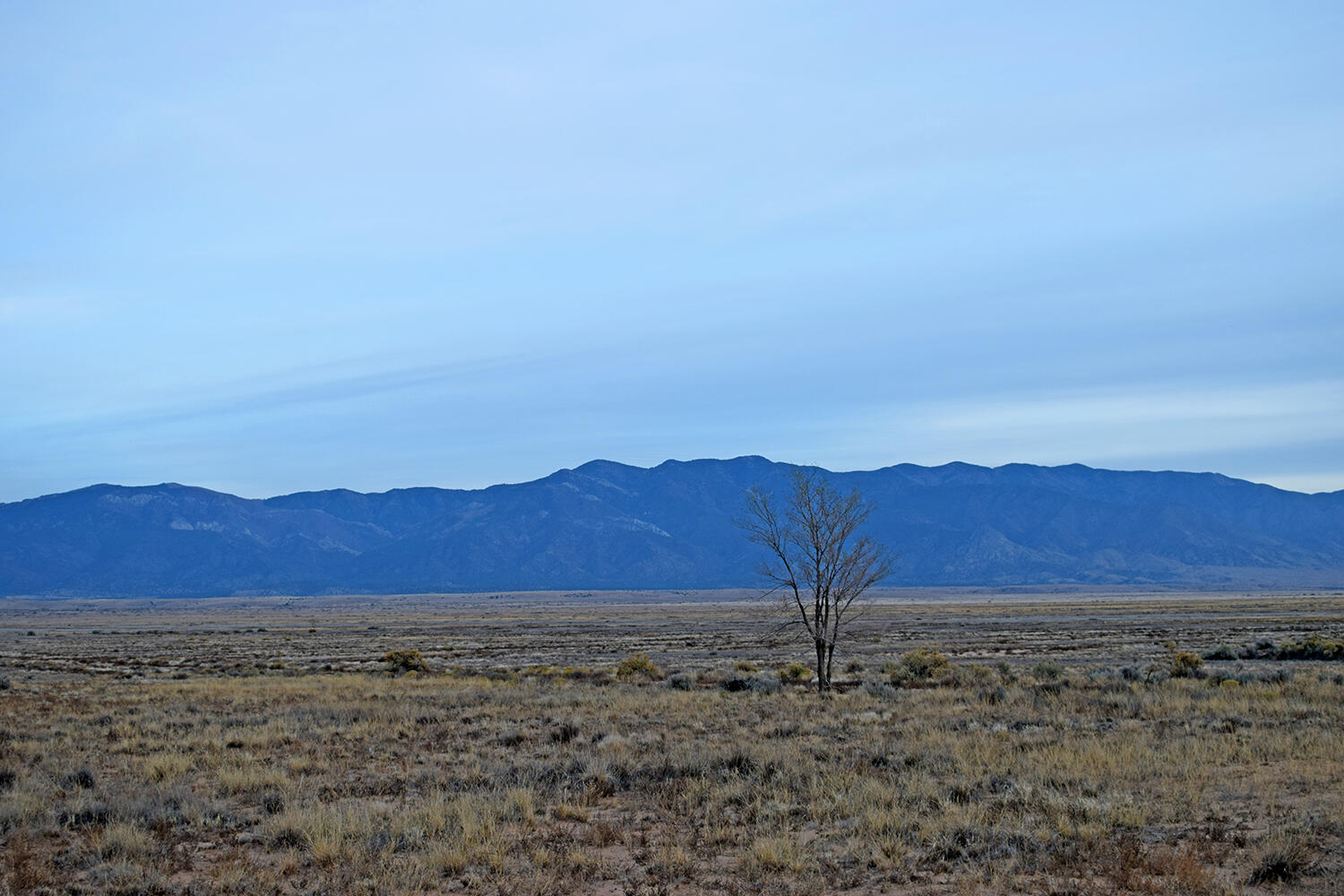 Photo 9 — Lot 36-40 Rio Del Oro 3