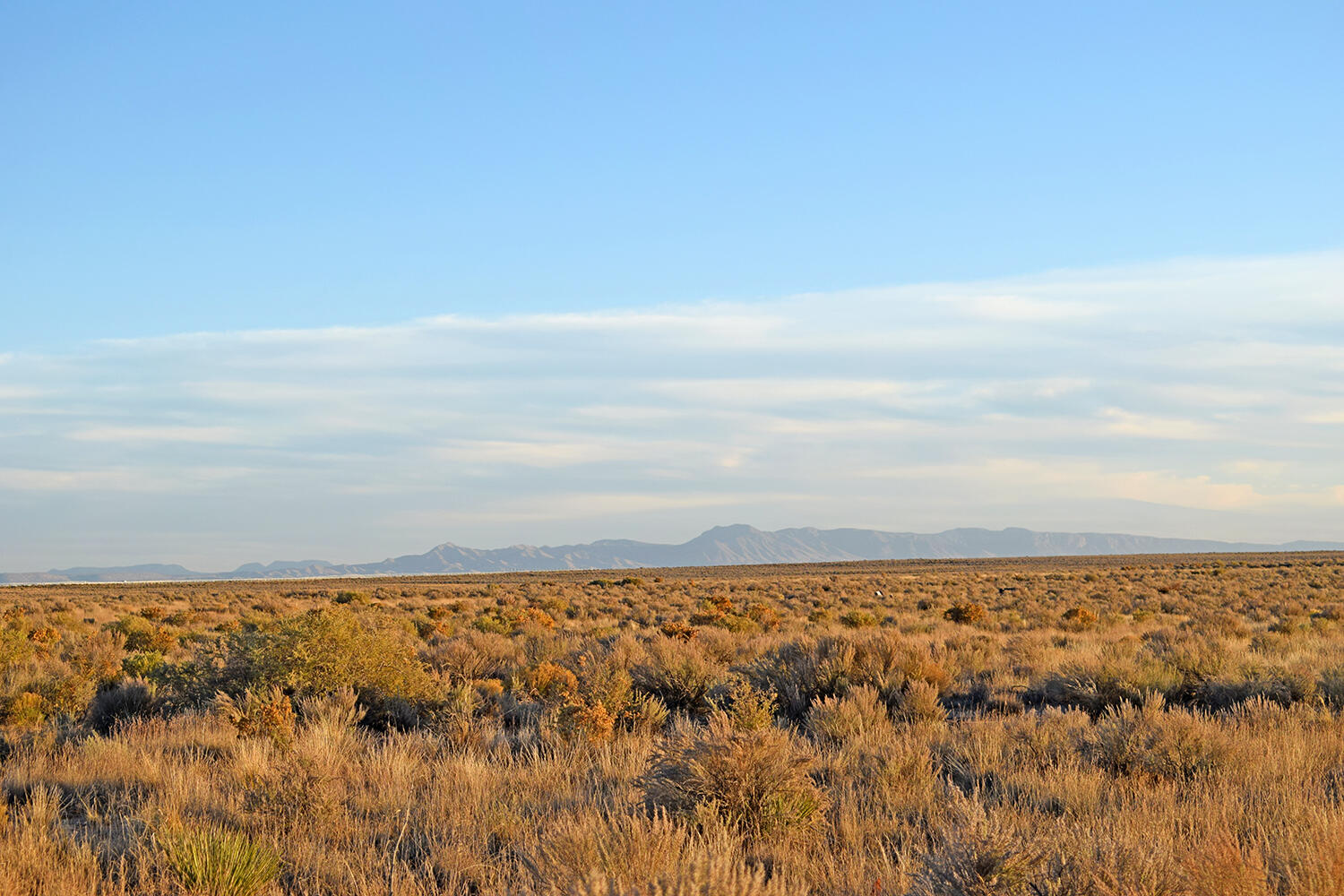 Photo 5 — Lot 1-2 Rio Del Oro 61