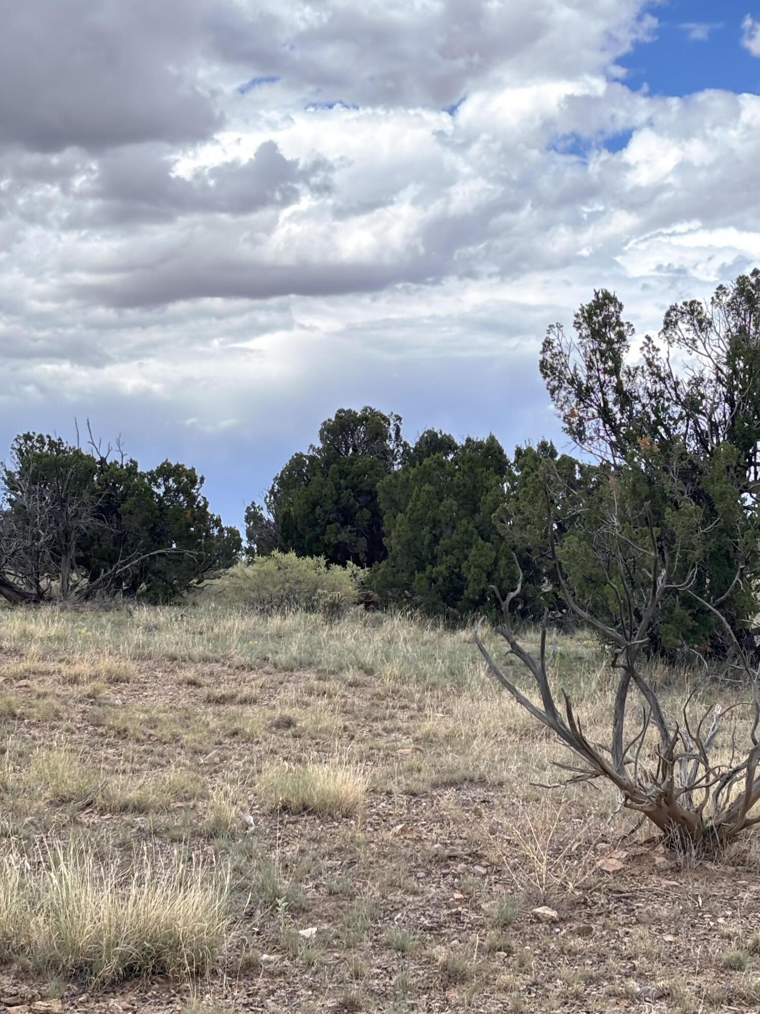  Lot 95 Abbe Springs, Magdalena, NM